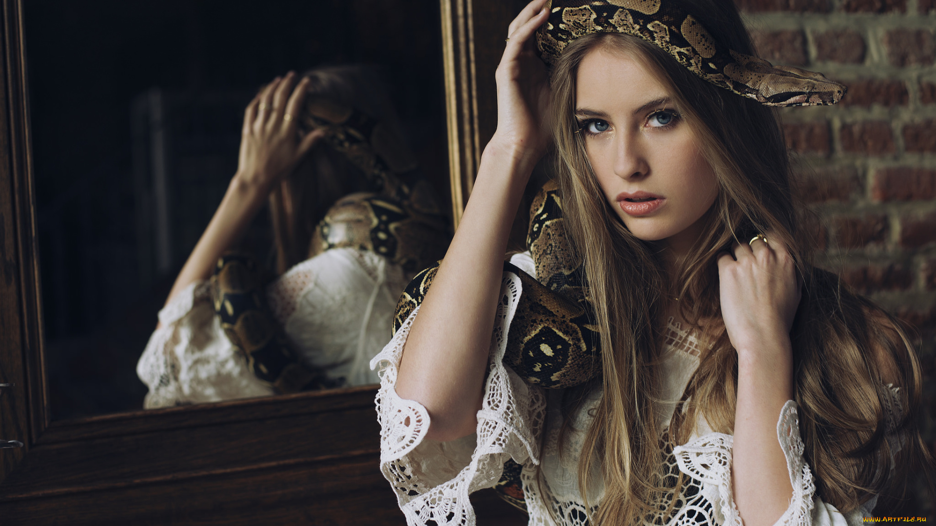 девушки, -unsort, , брюнетки, , шатенки, взгляд, лицо