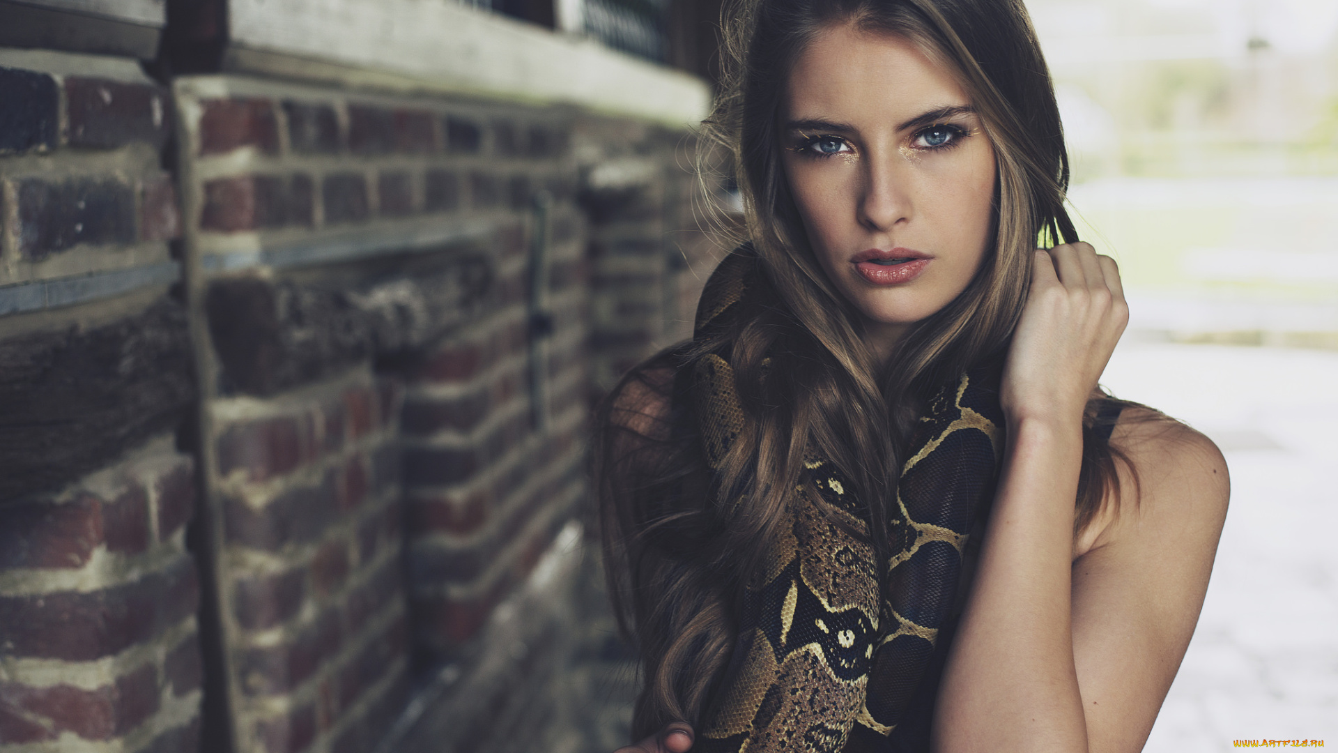 девушки, -unsort, , брюнетки, , шатенки, взгляд, лицо, camille, rochette