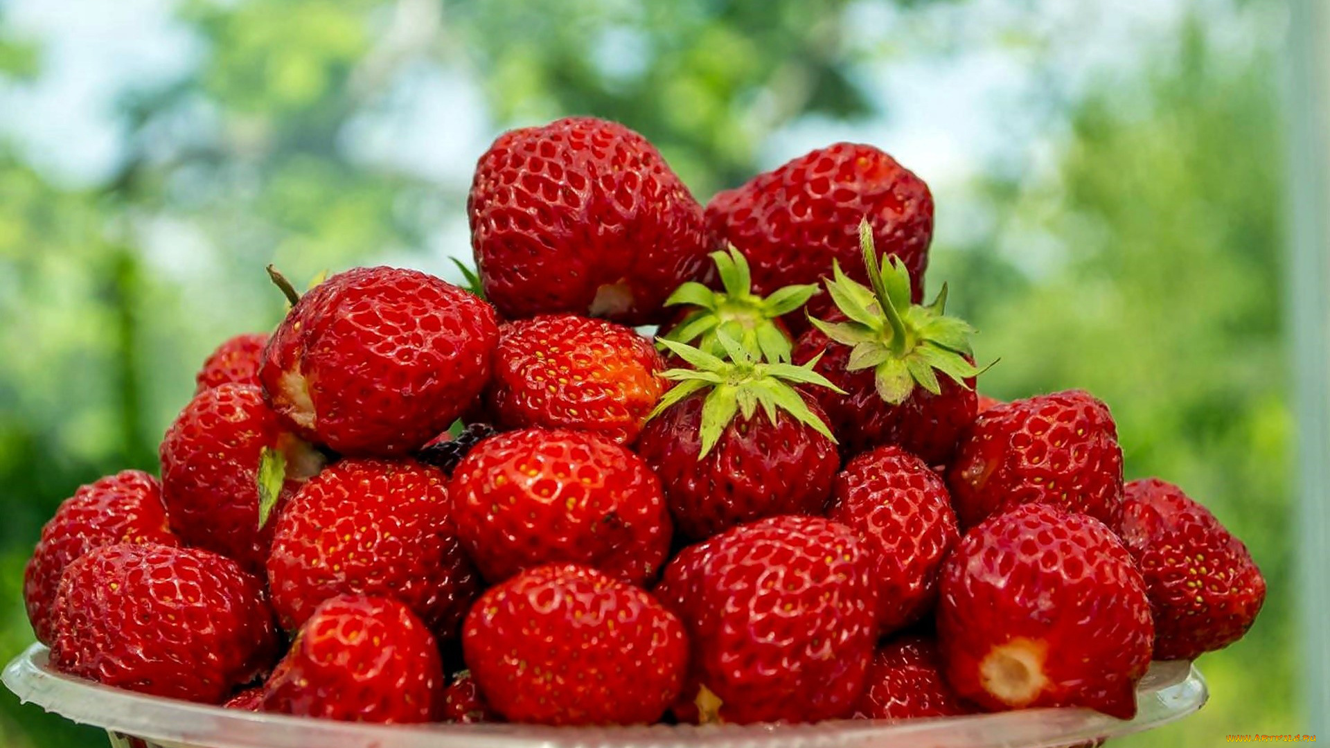 еда, клубника, , земляника, ягоды, много