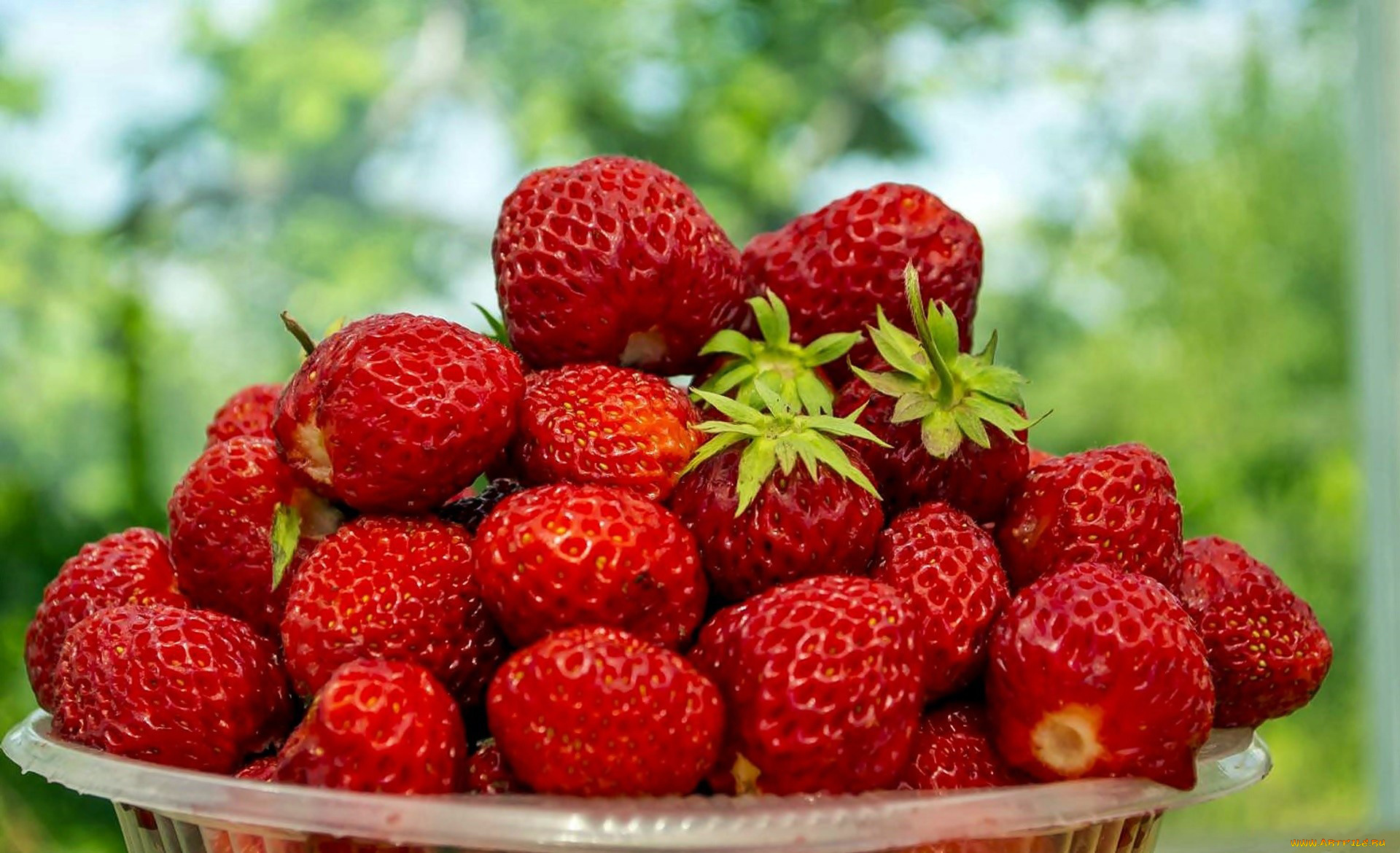 еда, клубника, , земляника, ягоды, много