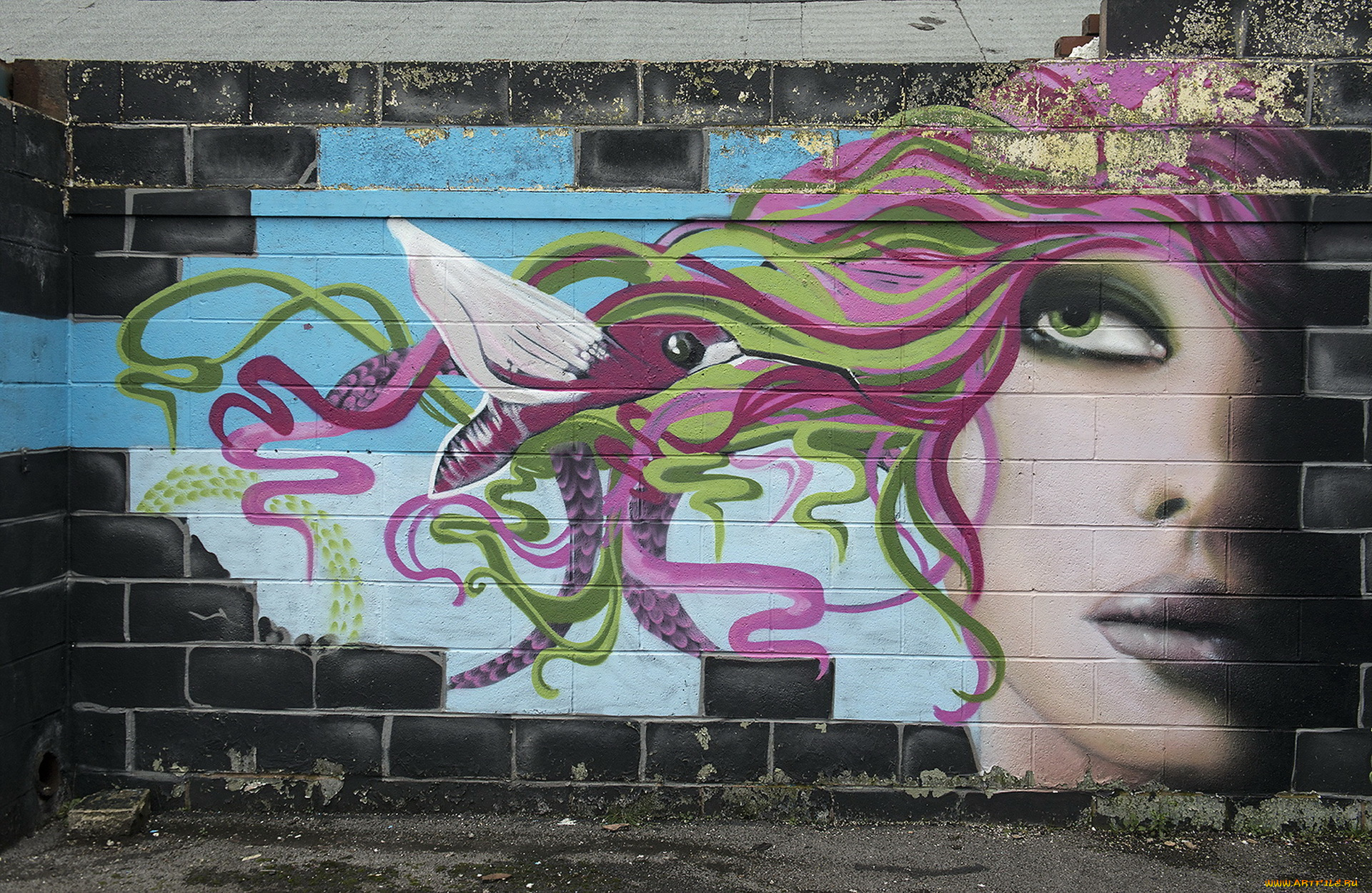 разное, граффити, стена