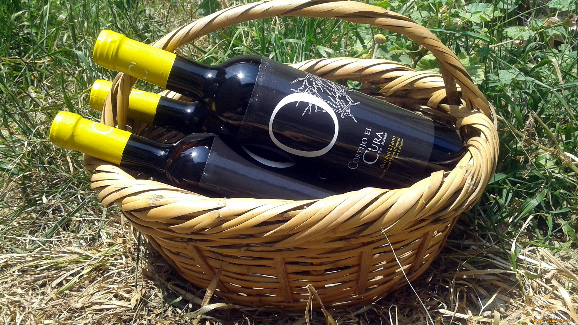 бренды, бренды, напитков, , разное, бутылки, корзинка, вино