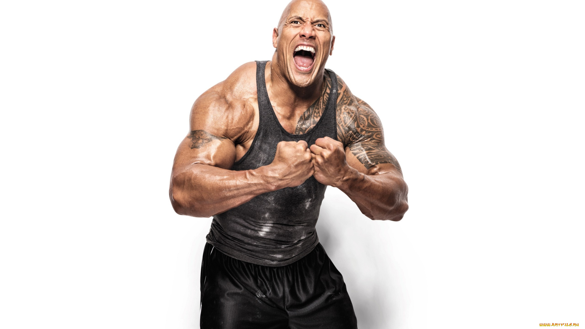 мужчины, dwayne, johnson, , the, rock, бицепсы, тату
