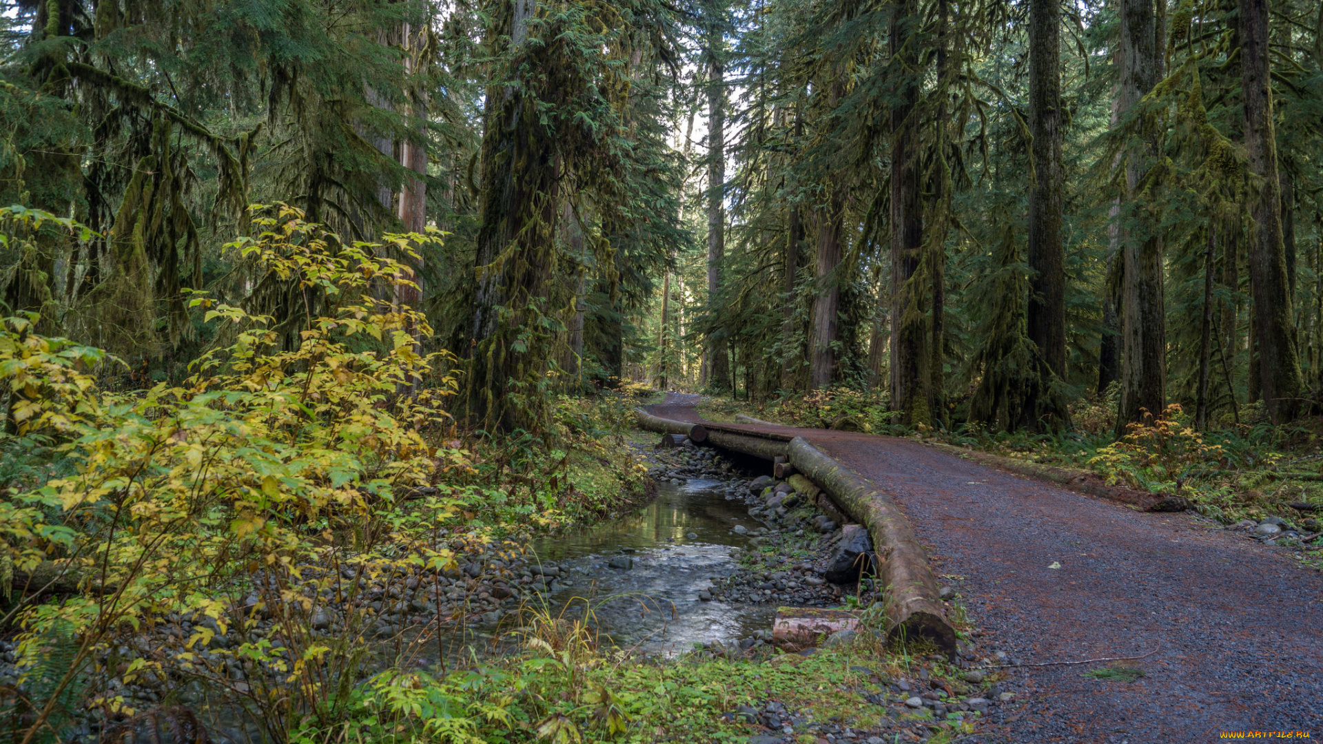 природа, дороги, тракт