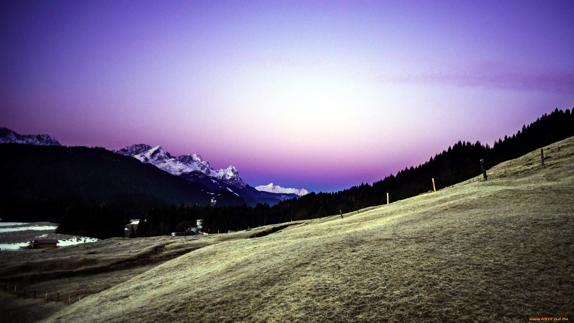 природа, горы, лес, снег, вершины