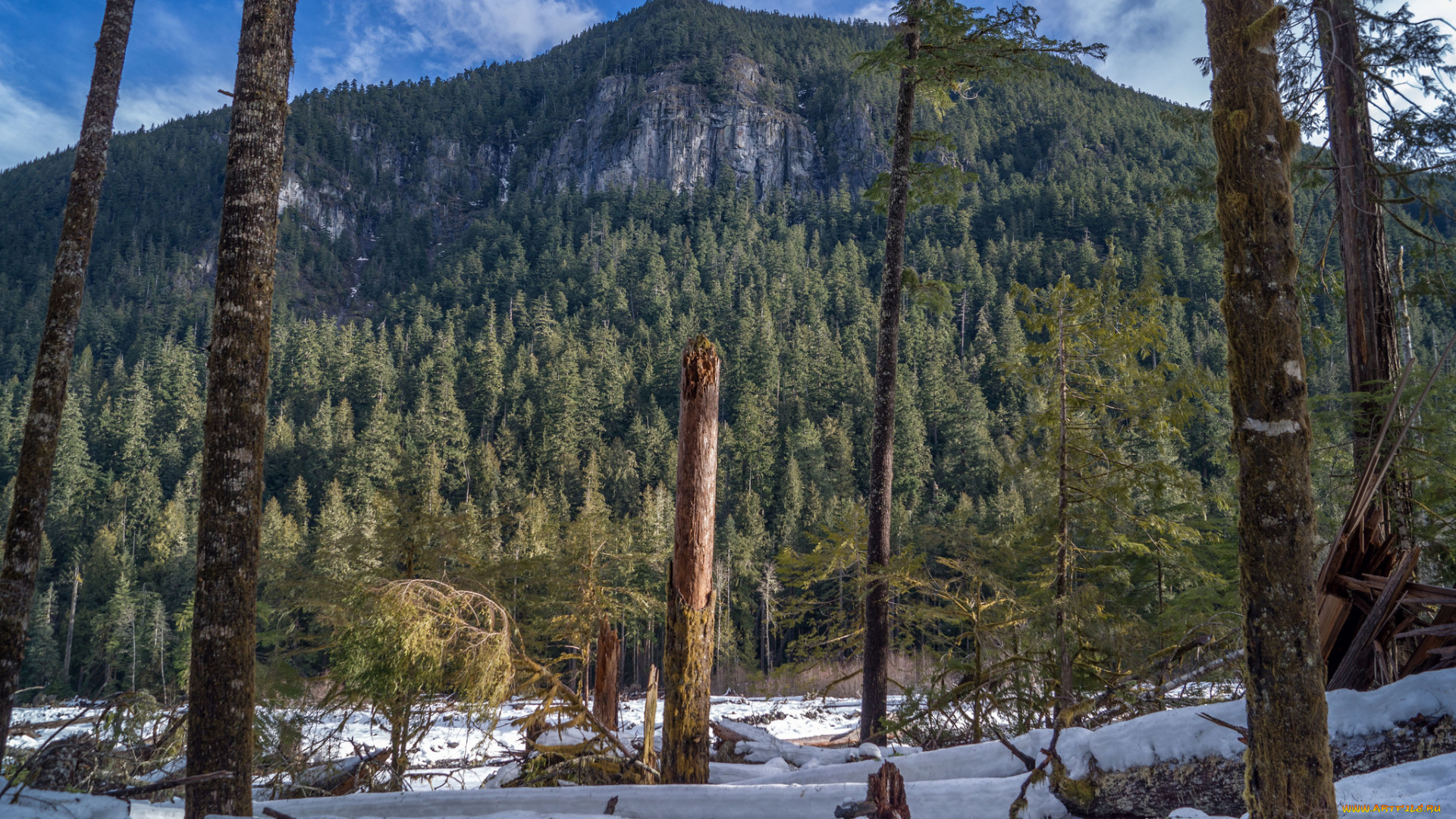 природа, горы, простор