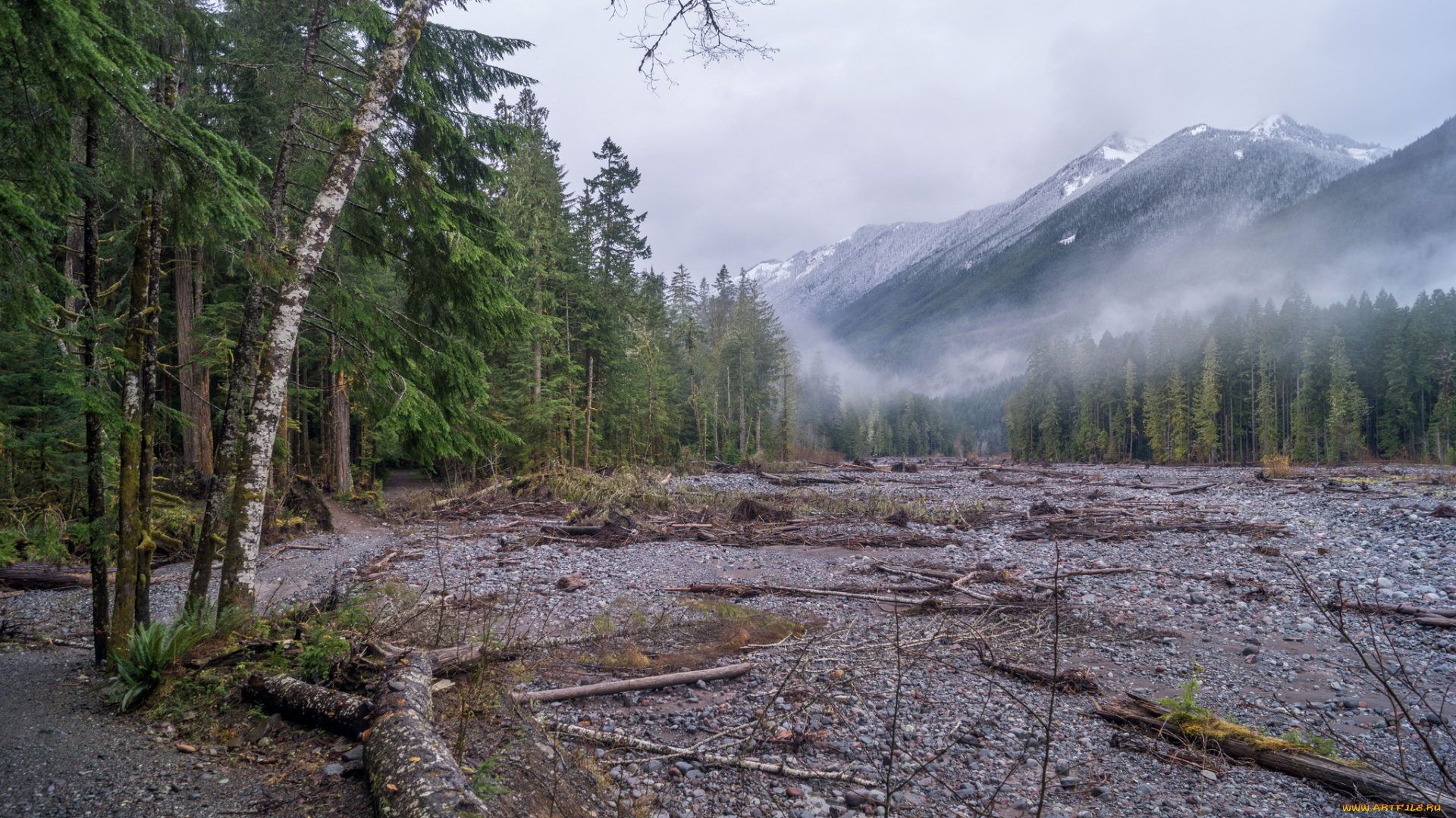 природа, пейзажи, простор