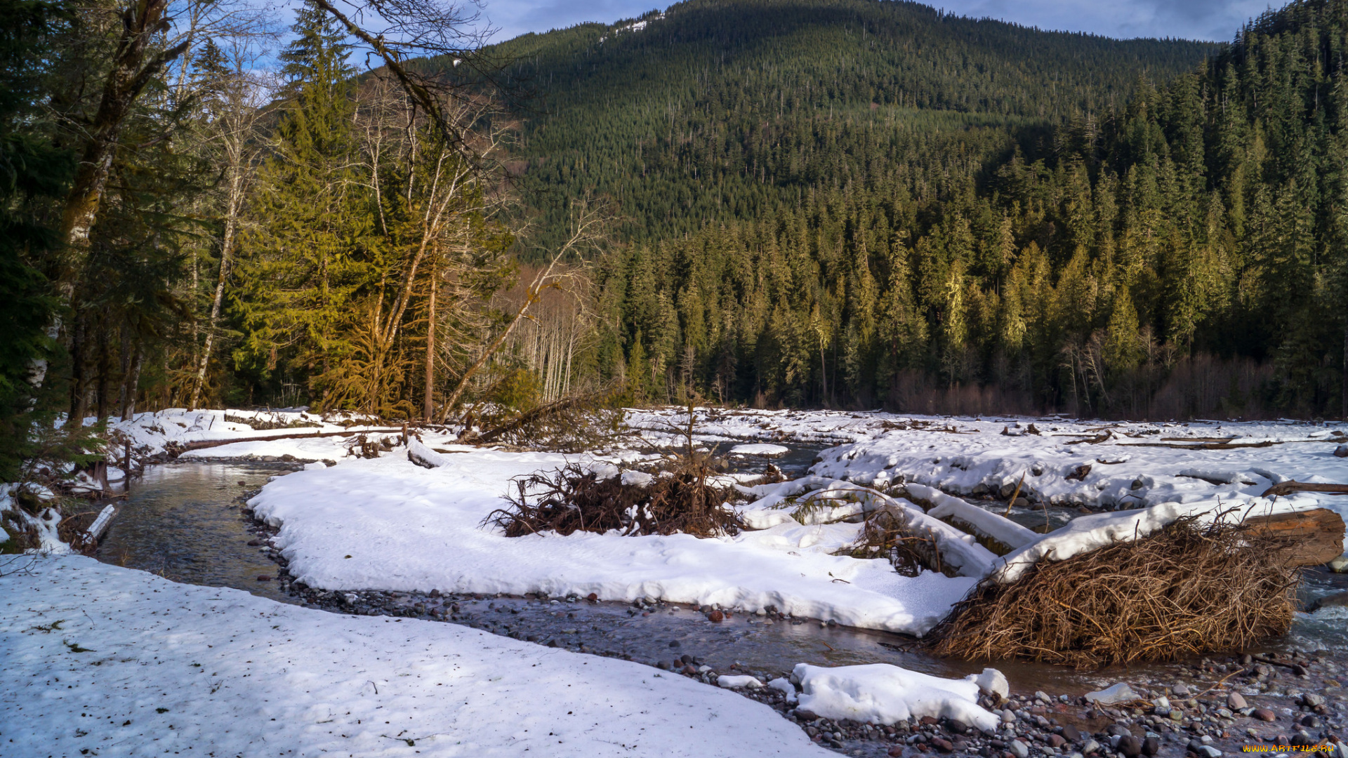 природа, реки, озера, лес, горы, река