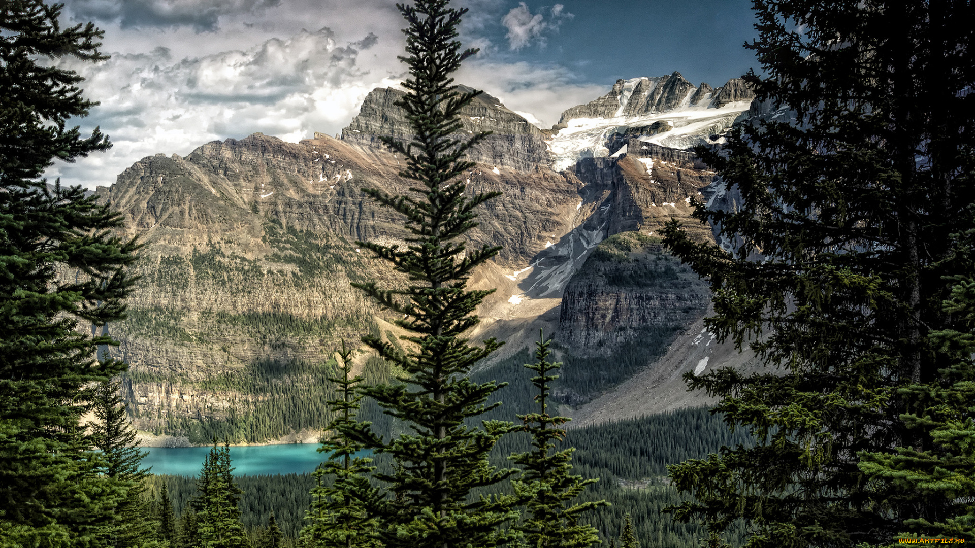 природа, реки, озера, лес, река