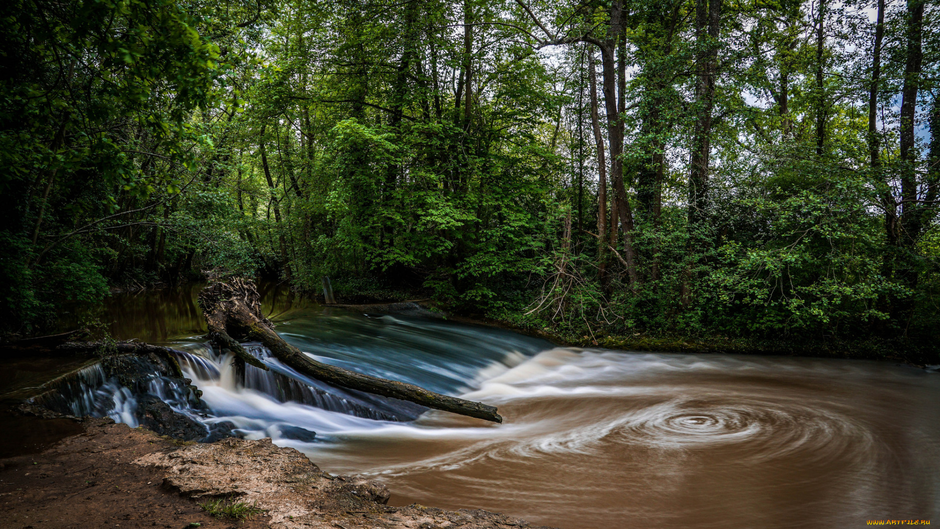 природа, реки, озера, река, лес