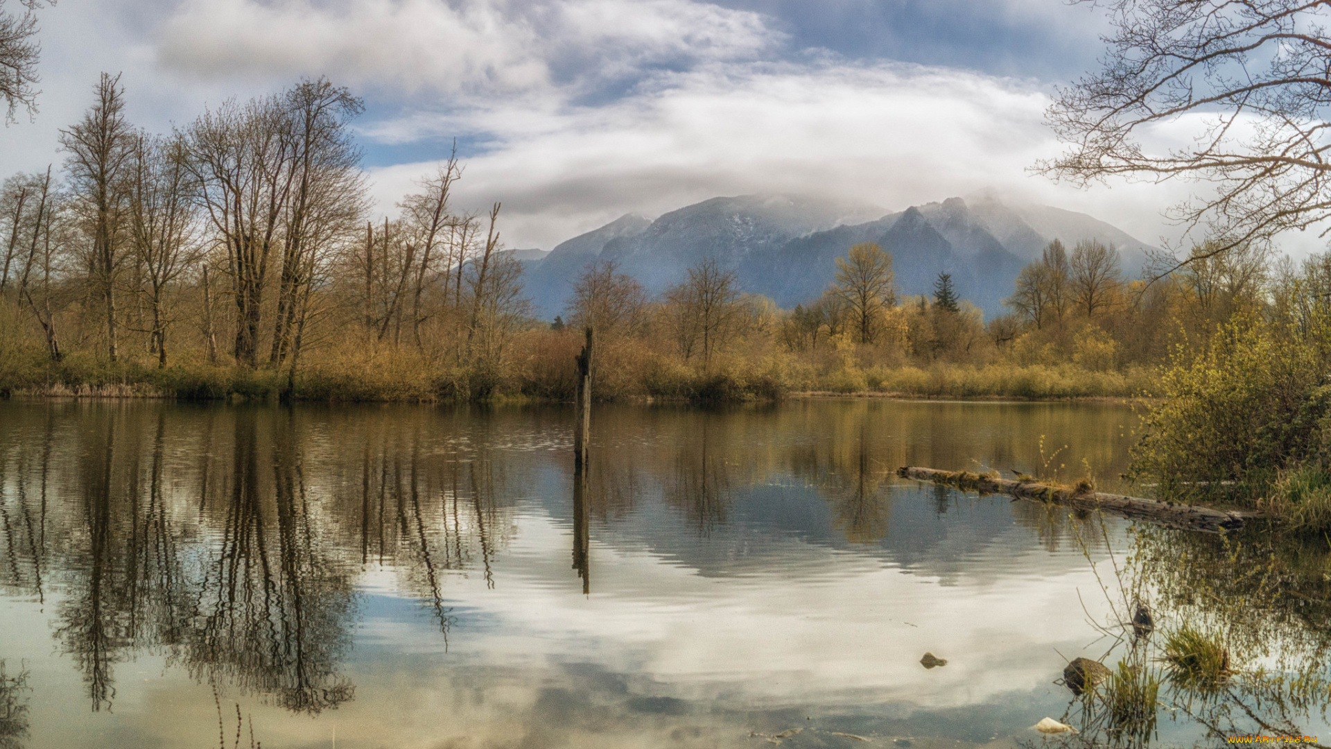 природа, реки, озера, река, лес, горы