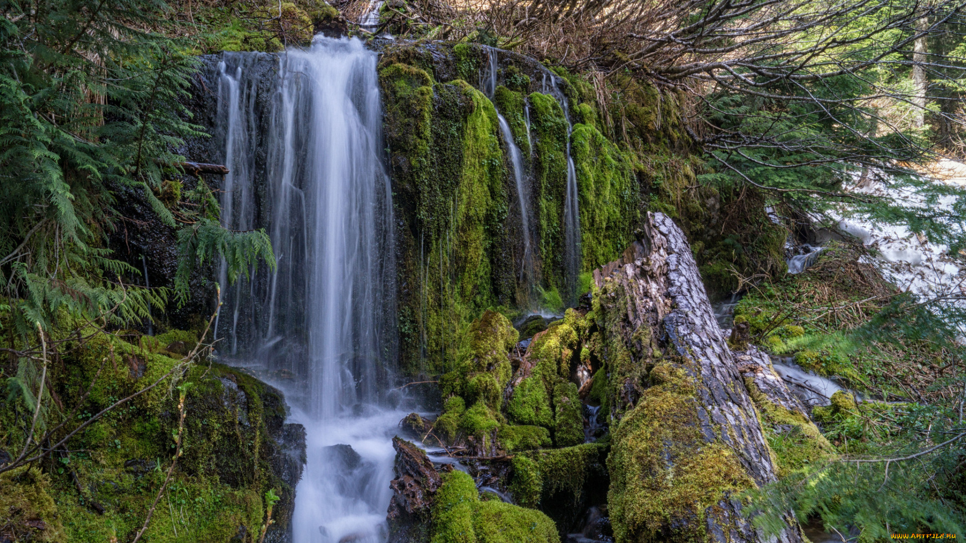 природа, водопады, река, лес, водопад