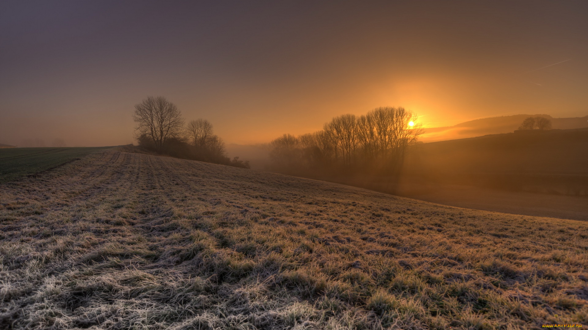 природа, восходы, закаты, поле, закат, туман