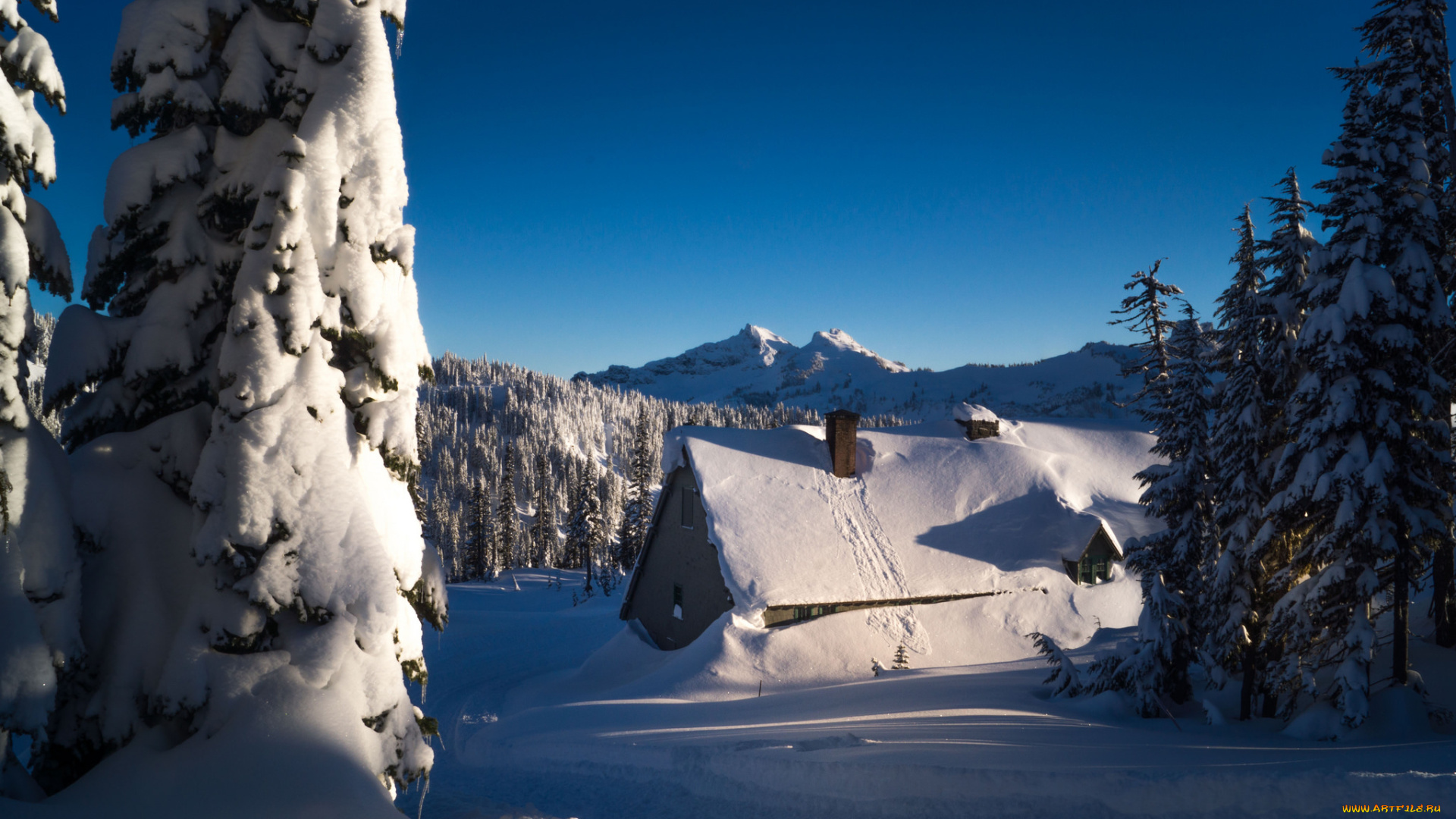 природа, зима, снег