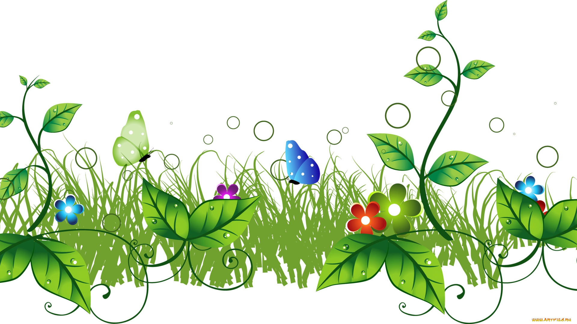 векторная, графика, цветы, , flowers, фон, цветы