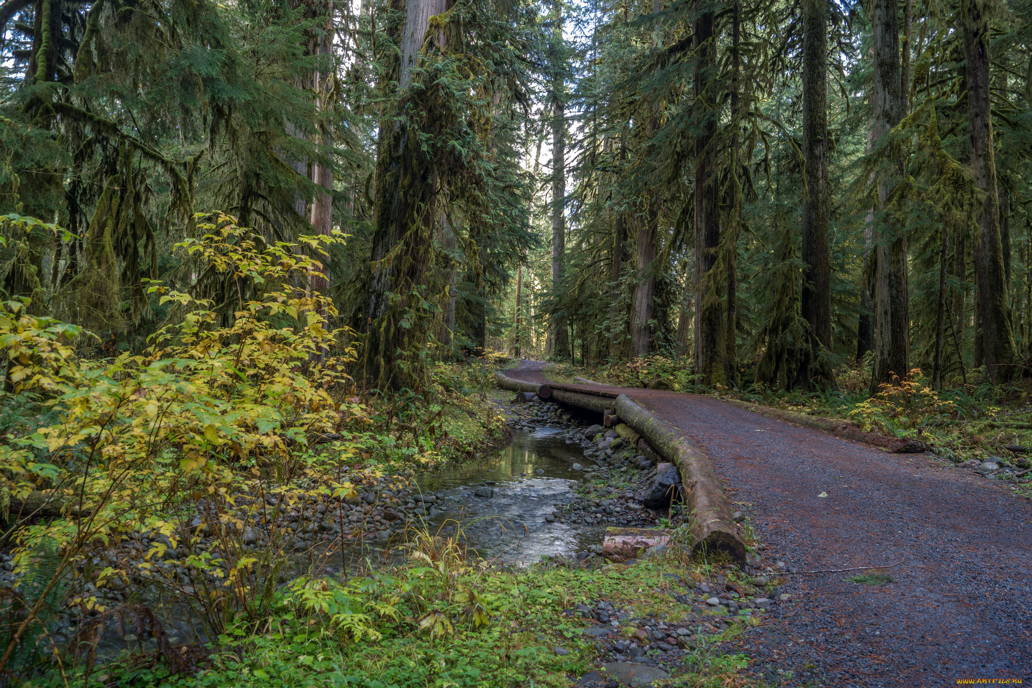 природа, дороги, тракт