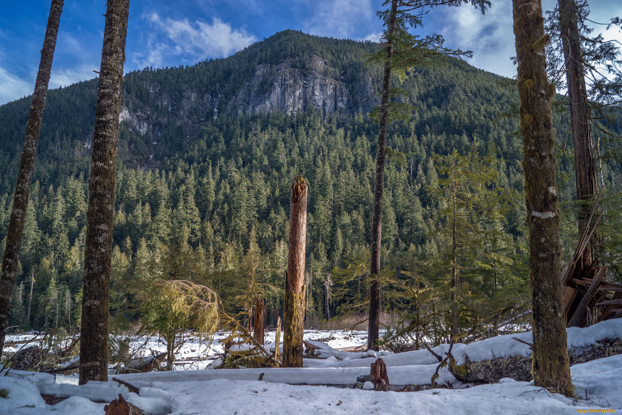 природа, горы, простор