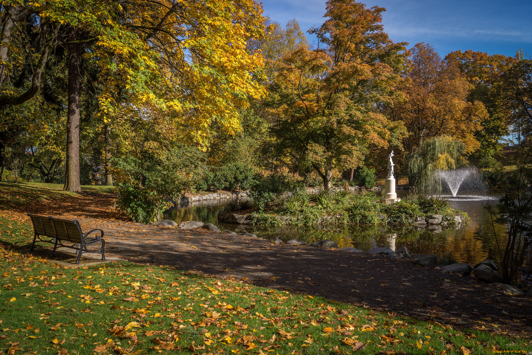 природа, парк, пруд