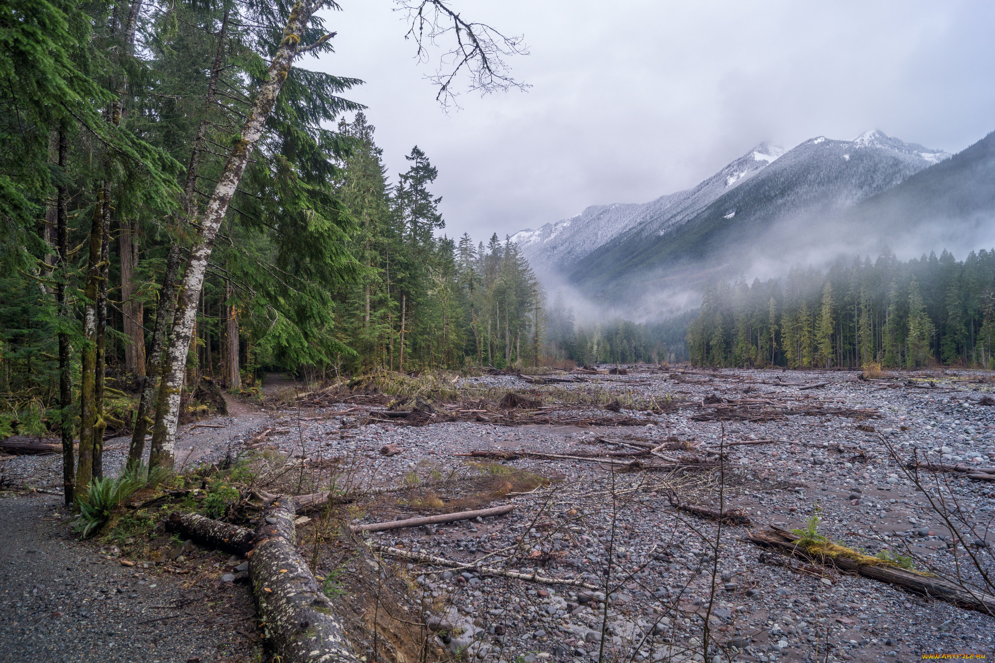 природа, пейзажи, простор