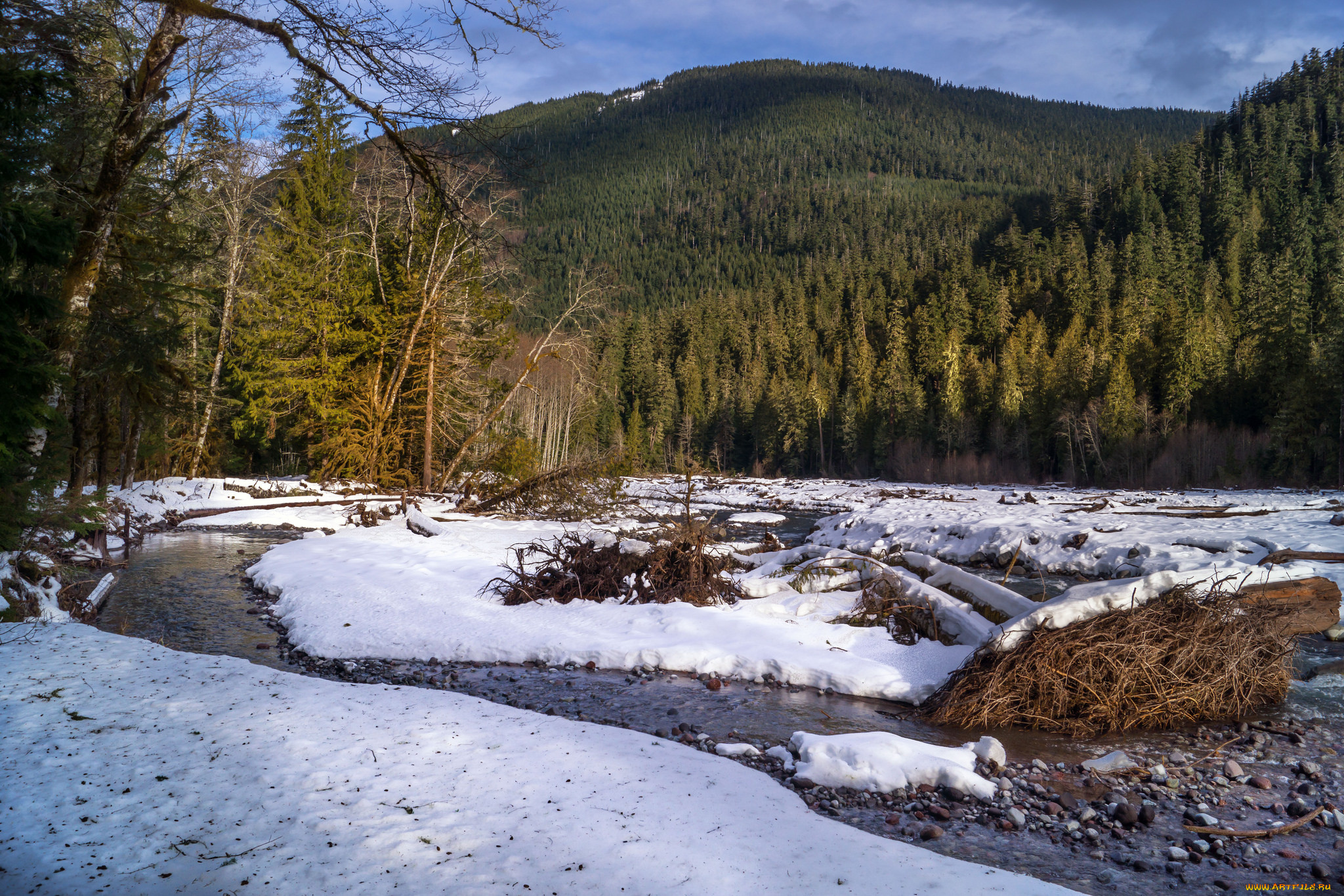 природа, реки, озера, лес, горы, река