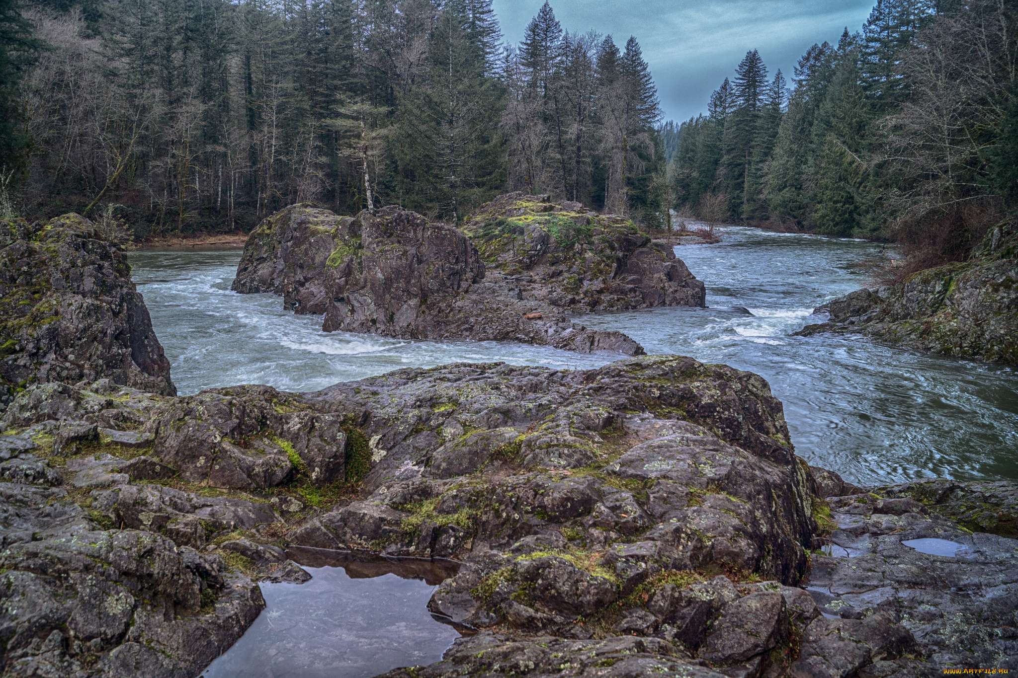 природа, реки, озера, лес, река