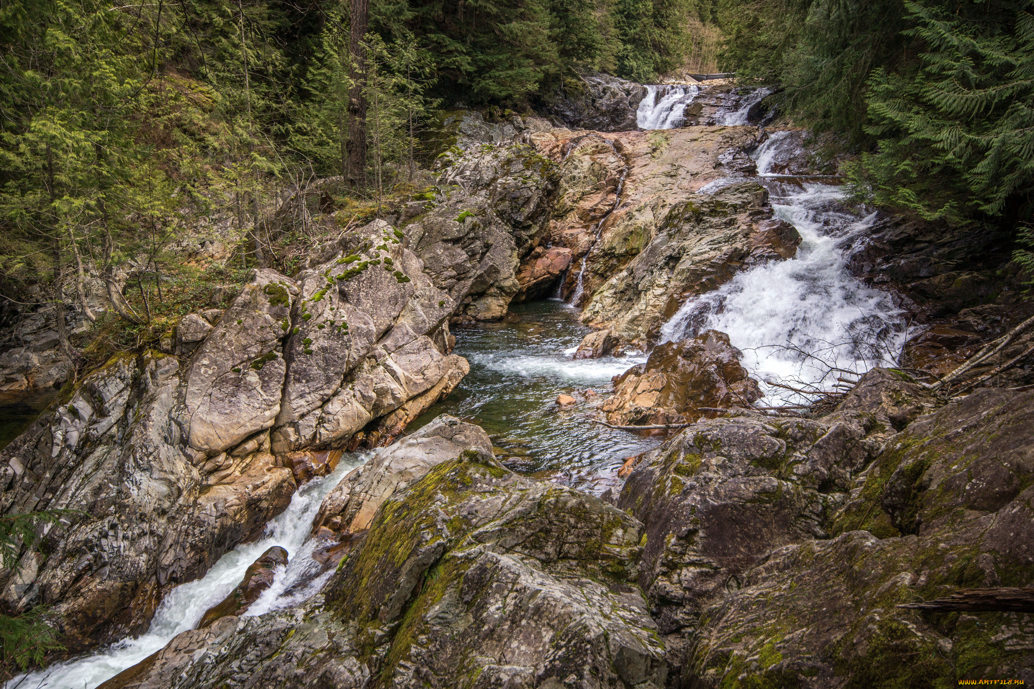 природа, реки, озера, река, лес