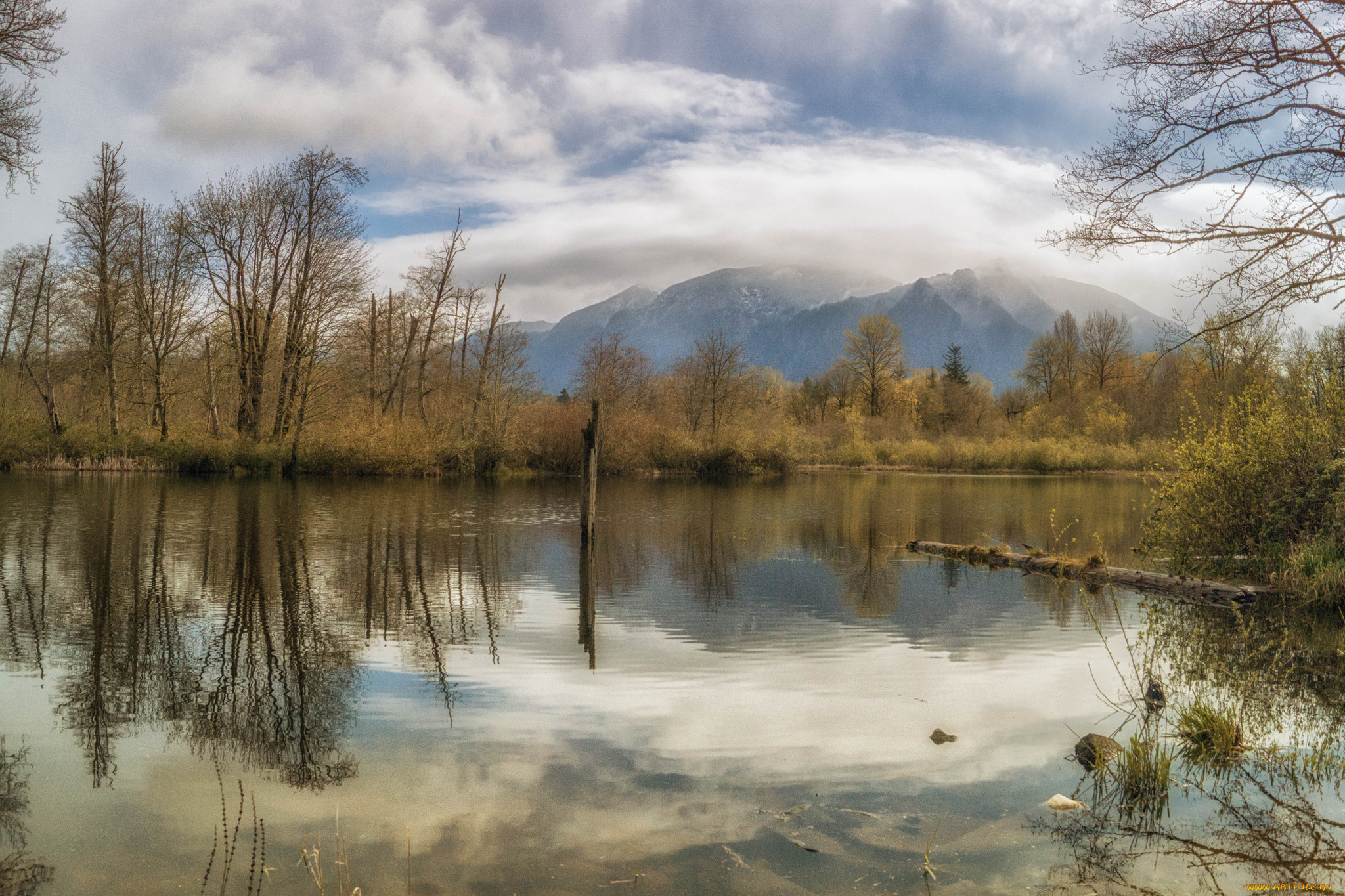 природа, реки, озера, река, лес, горы