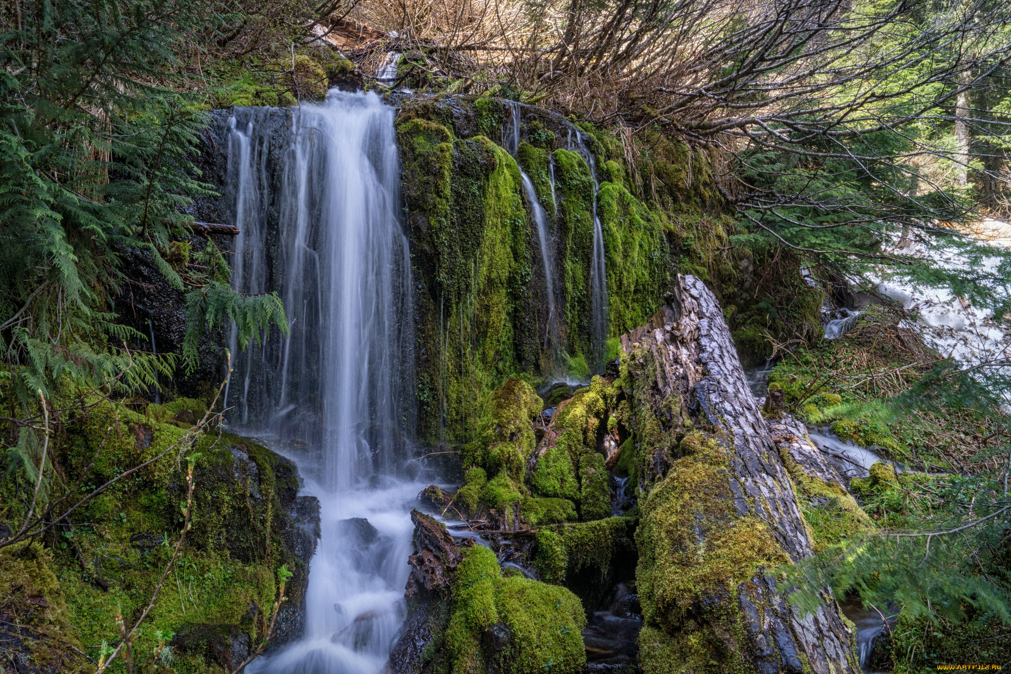 природа, водопады, река, лес, водопад