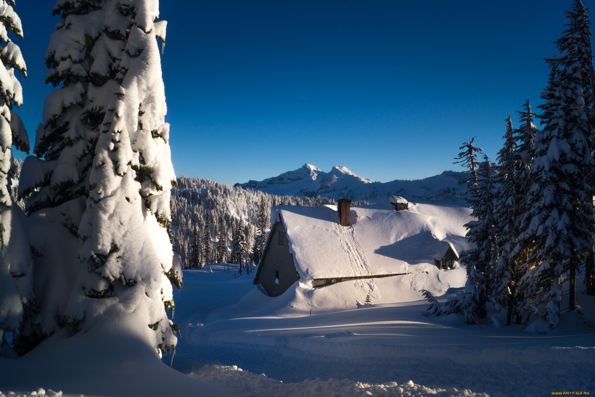 природа, зима, снег