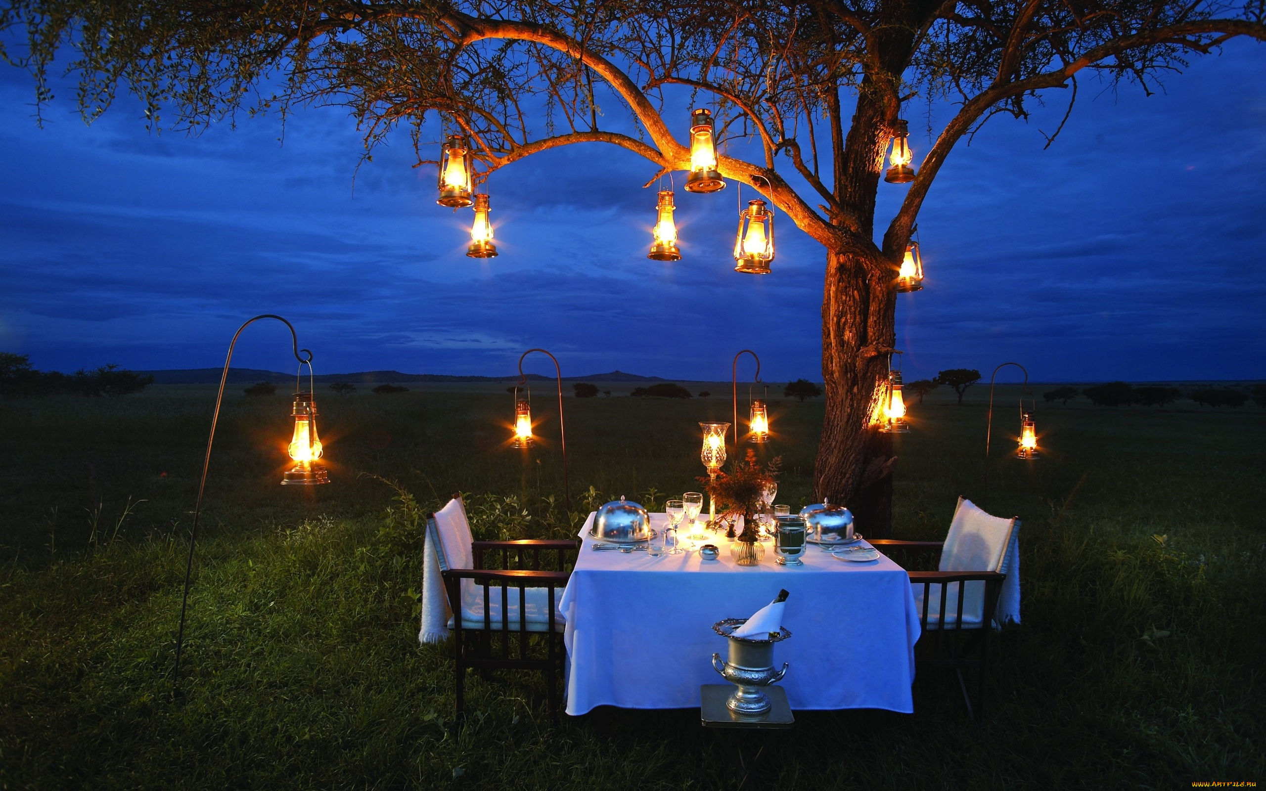 интерьер, декор, , отделка, , сервировка, дерево, лужайка, фонари, сервировка, накрытый, стол