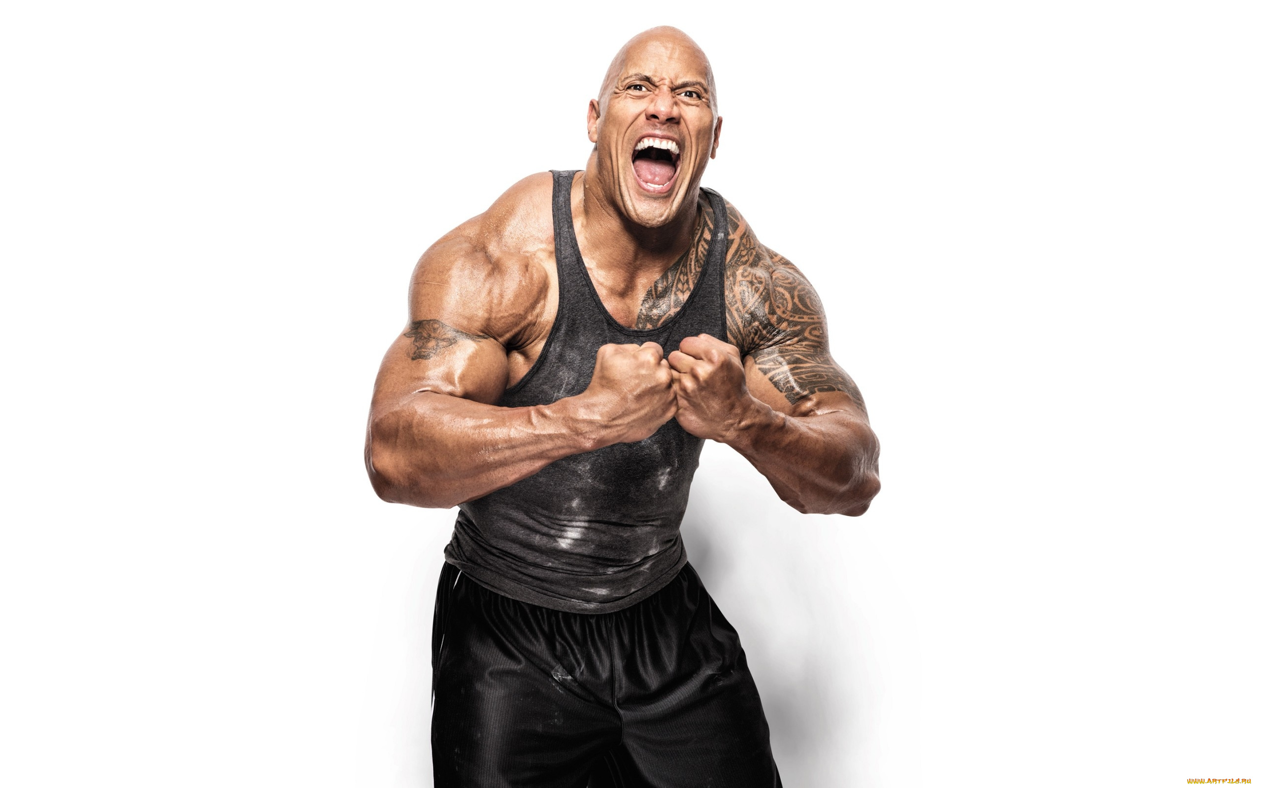 мужчины, dwayne, johnson, , the, rock, бицепсы, тату