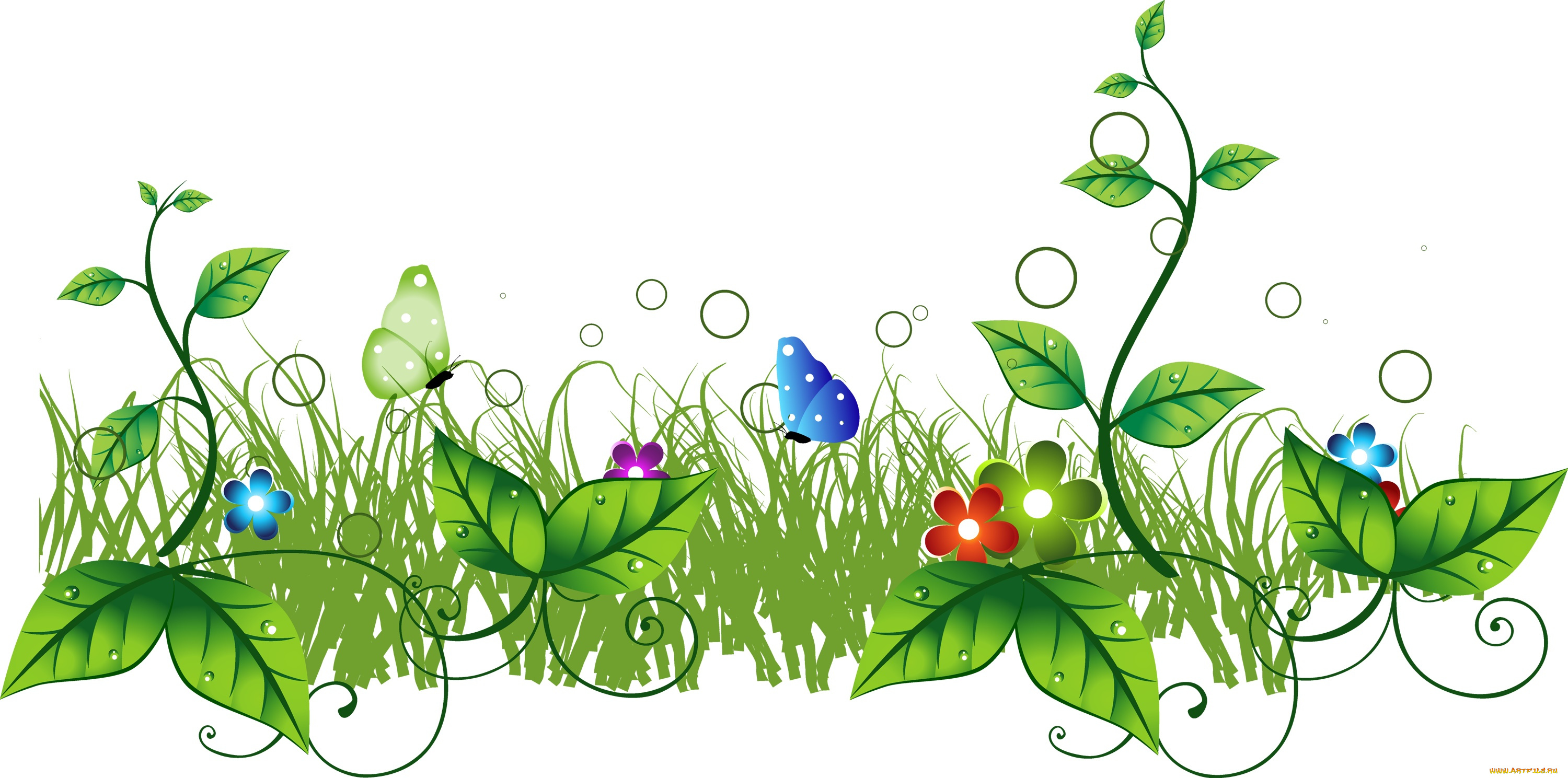 векторная, графика, цветы, , flowers, фон, цветы