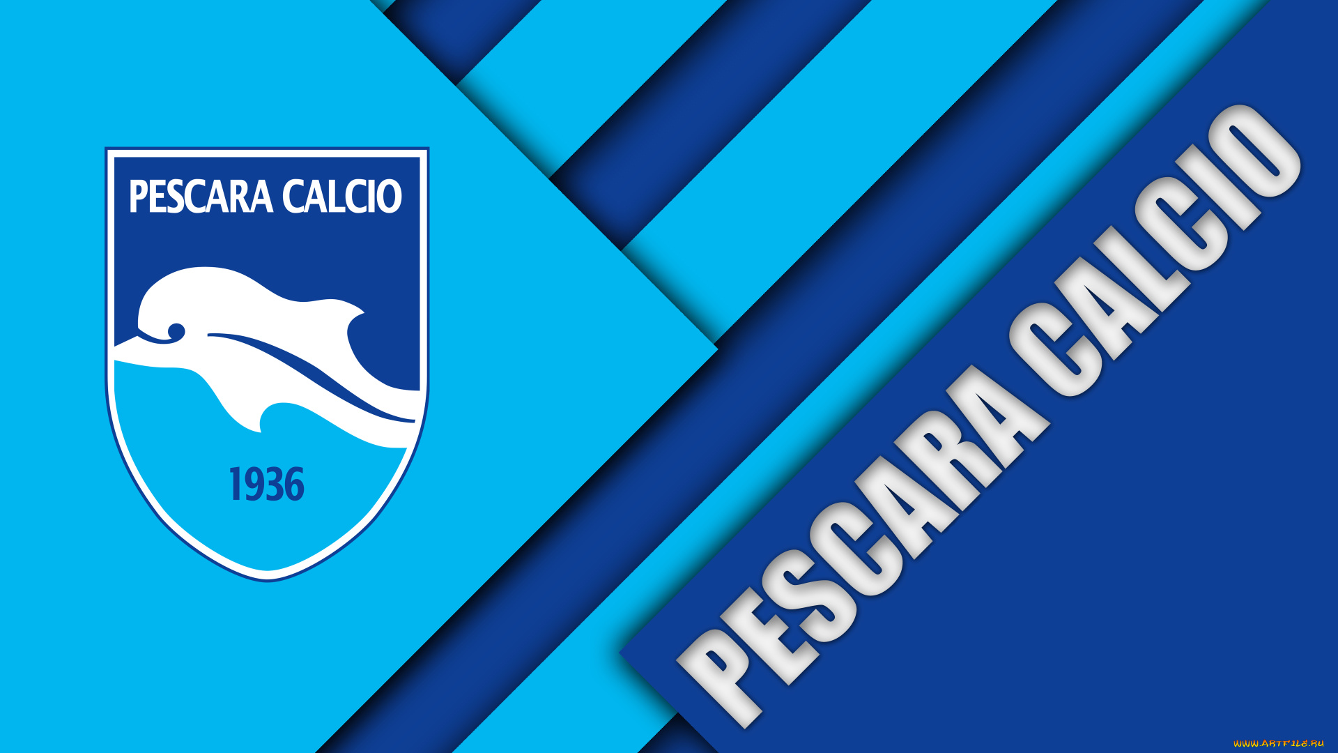 спорт, эмблемы, клубов, полосы, цвета, линии, фон, логотип