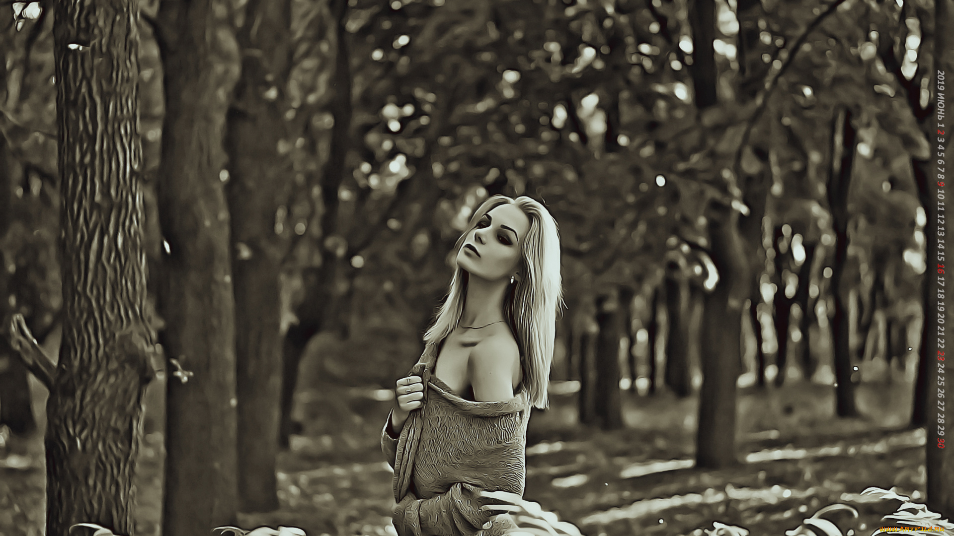 календари, компьютерный, дизайн, дерево, девушка, растение, природа, лес