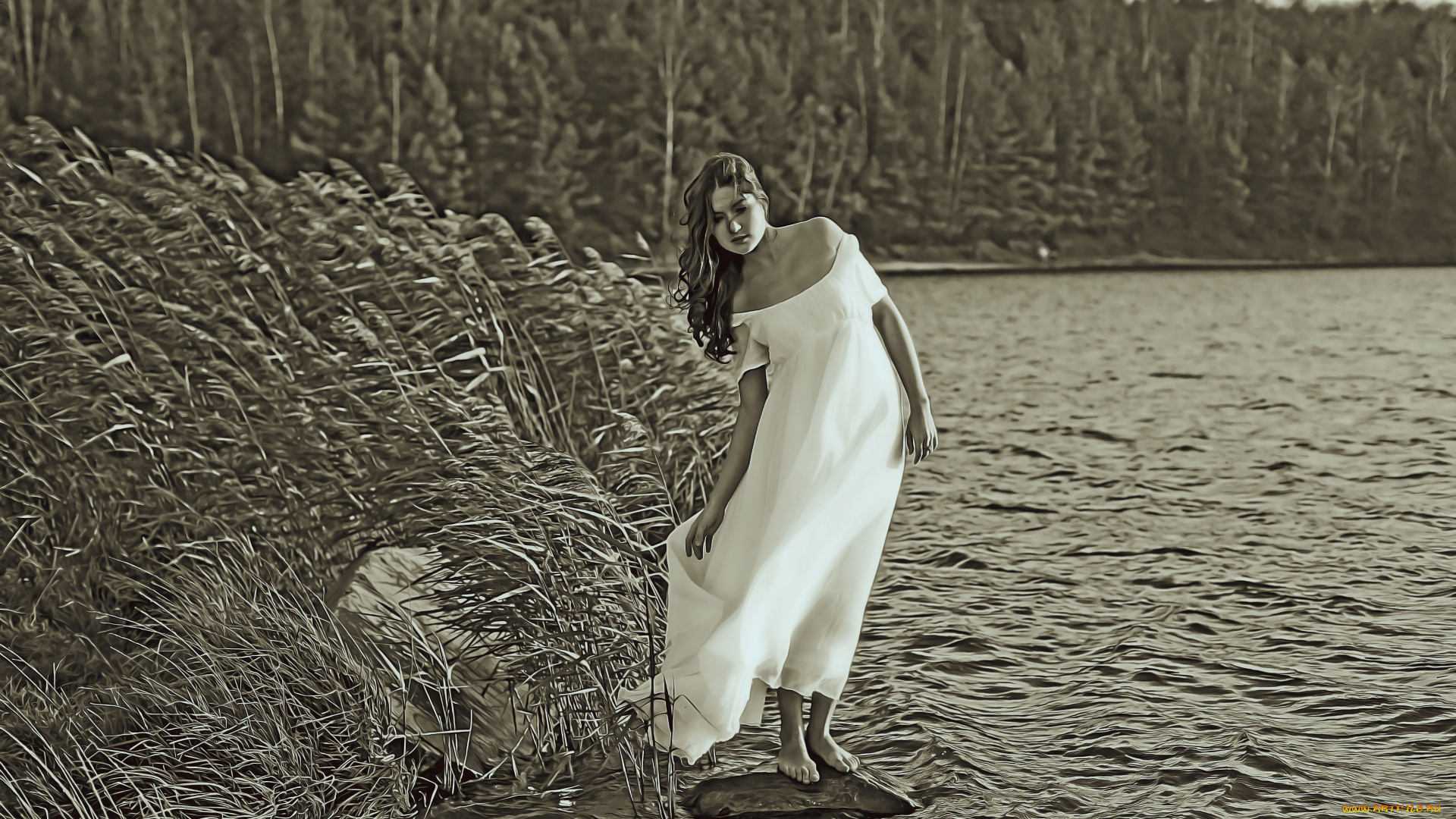 календари, компьютерный, дизайн, флора, природа, растение, девушка, водоем