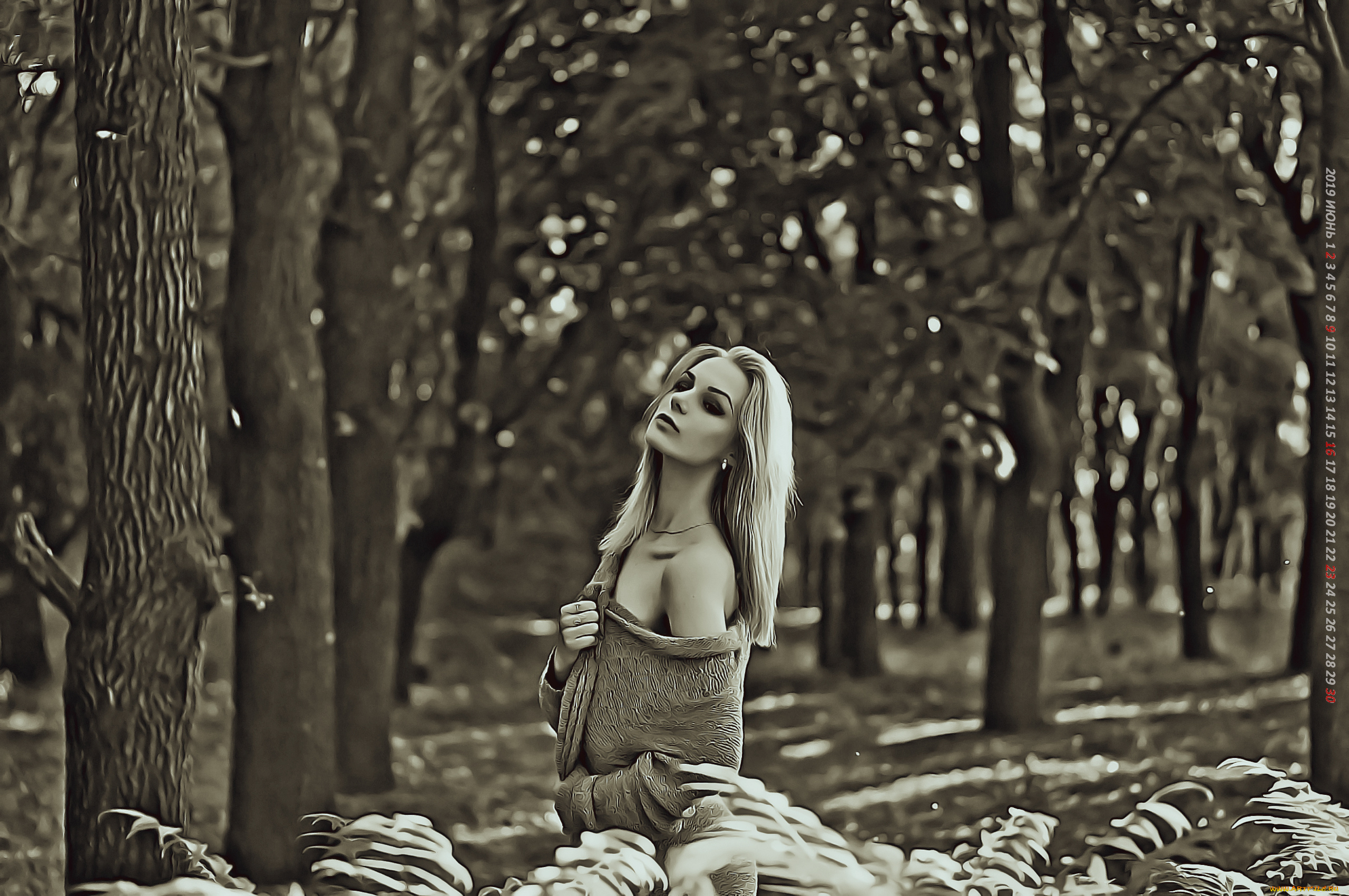 календари, компьютерный, дизайн, дерево, девушка, растение, природа, лес