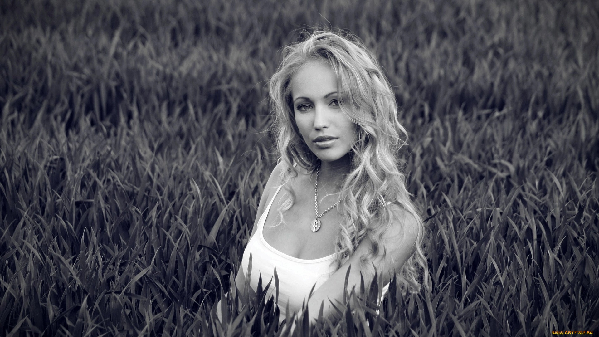 девушки, -, черно-белые, красивая, девушка