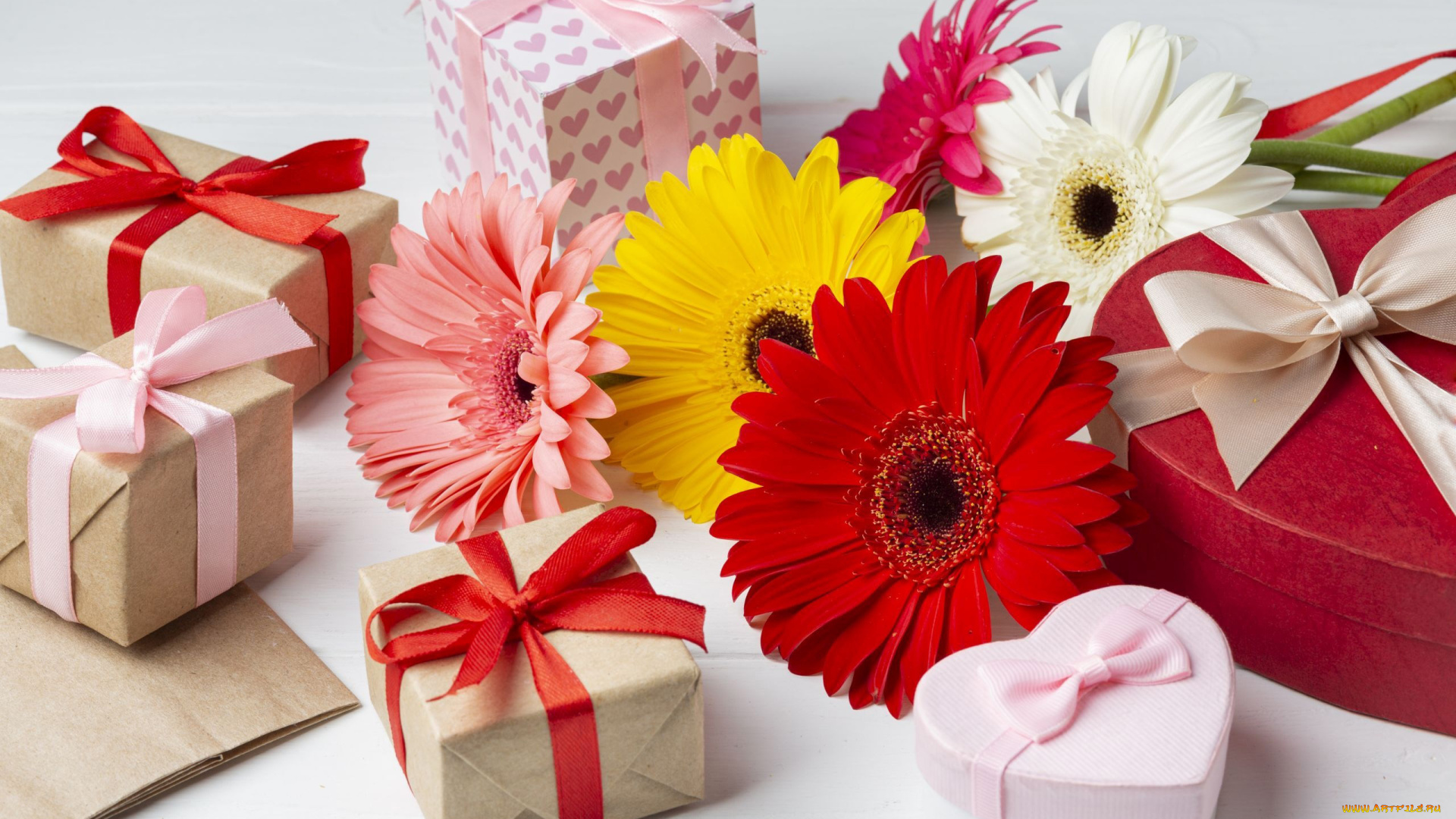 праздничные, подарки, и, коробочки, герберы, подарки, банты, ленты