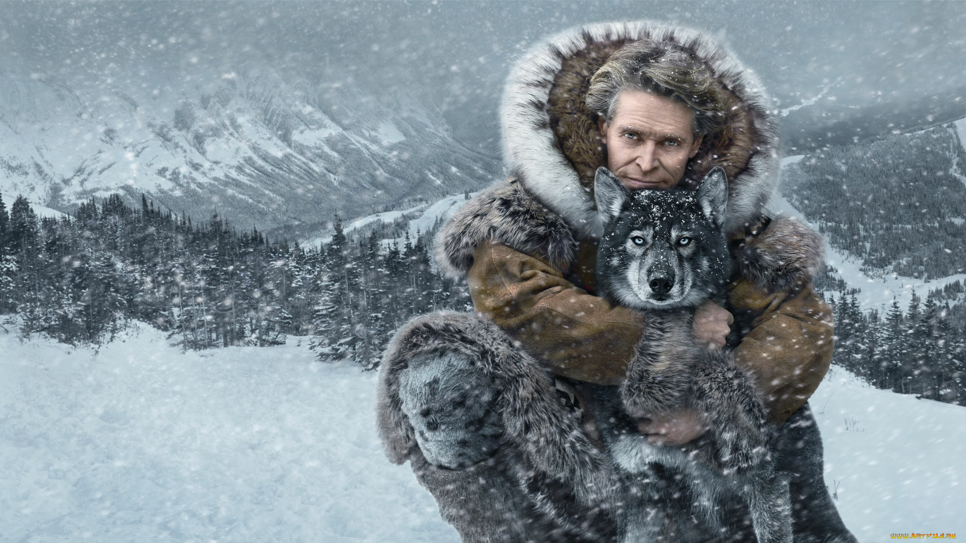 togo, , 2019, кино, фильмы, togo, пес, актер, драма, биография, история, уиллем, дефо