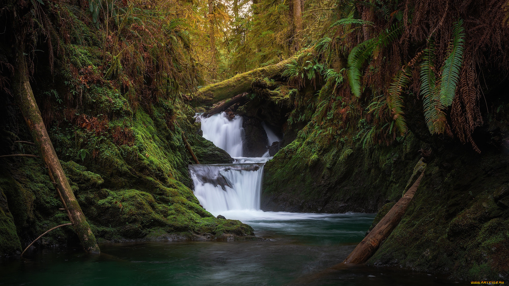 природа, водопады, поток, водопад, вода