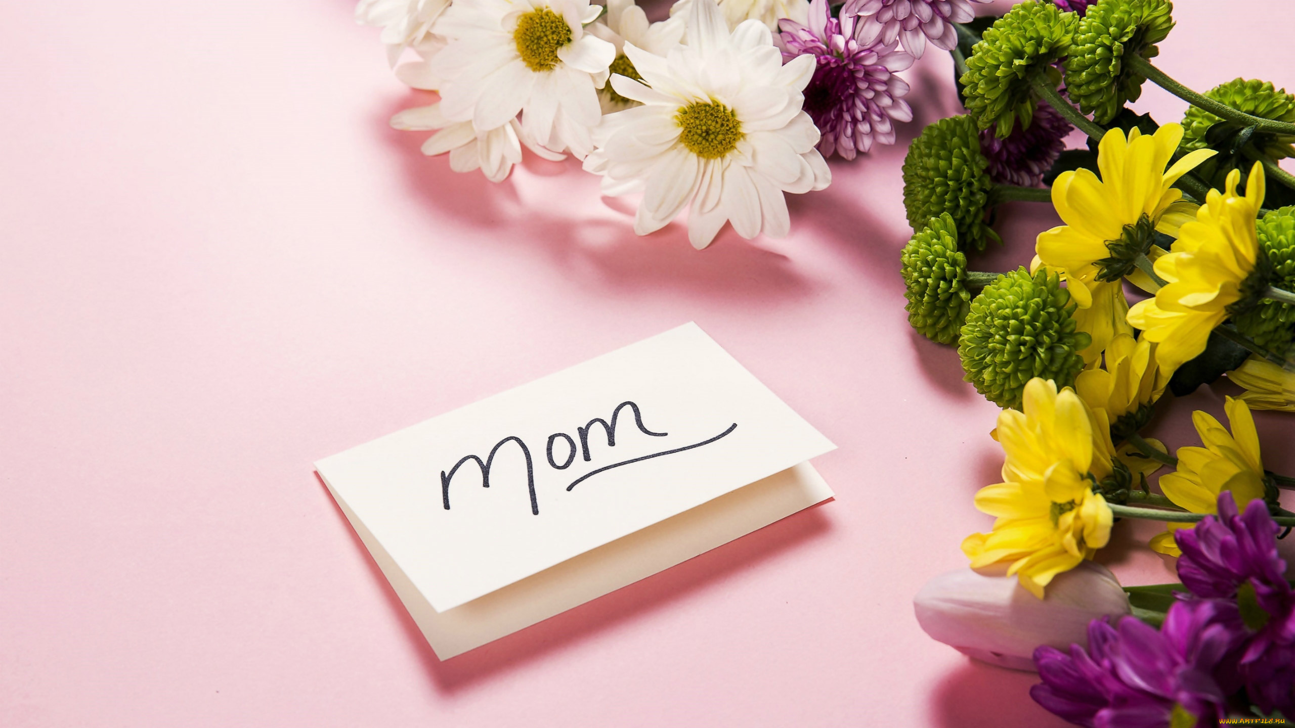 праздничные, день, матери, хризантемы, надпись