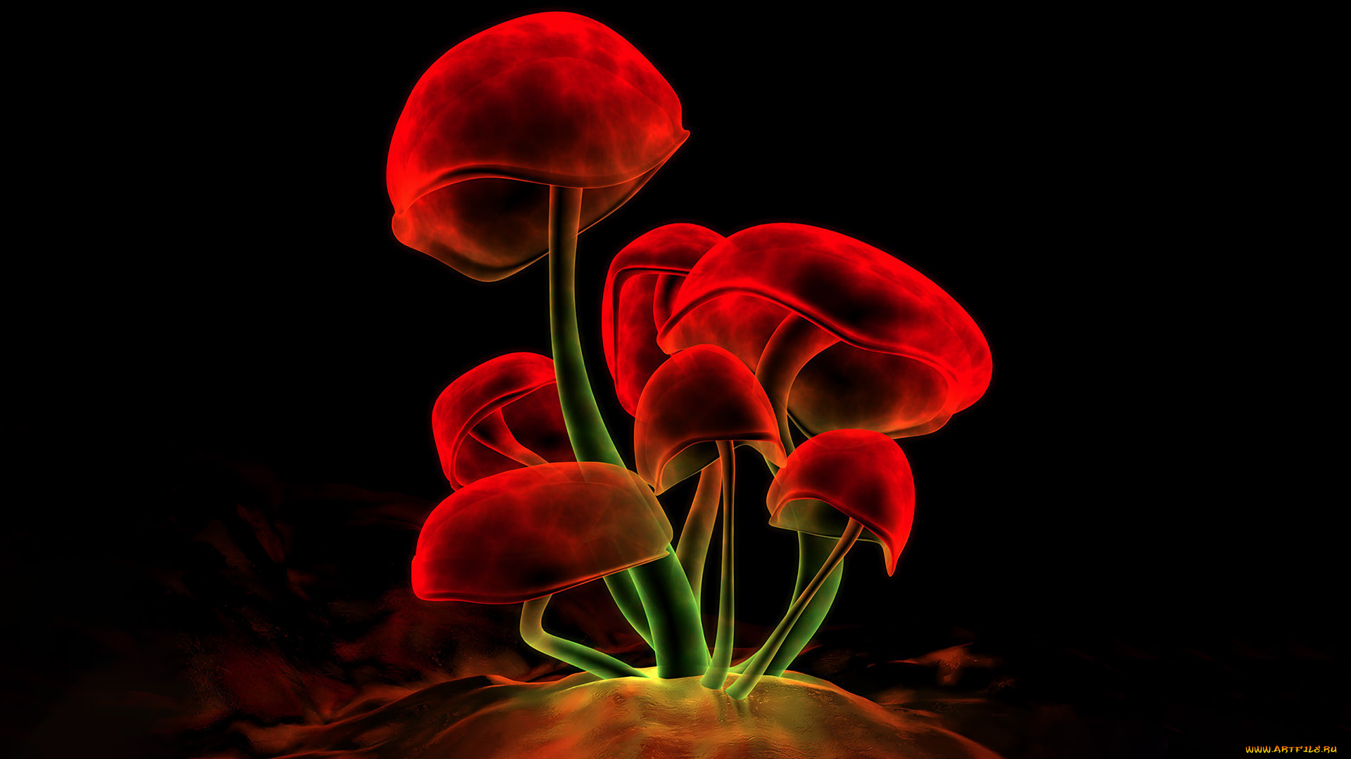 3д, графика, природа, , nature, грибы