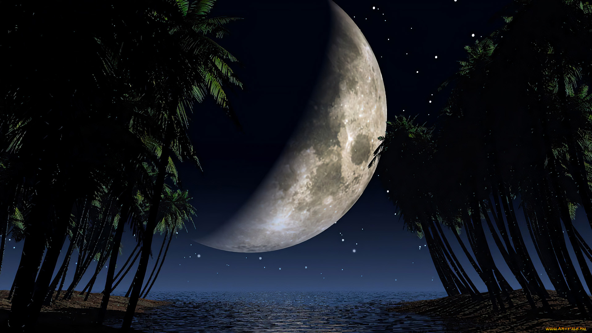 3д, графика, природа, , nature, пальмы