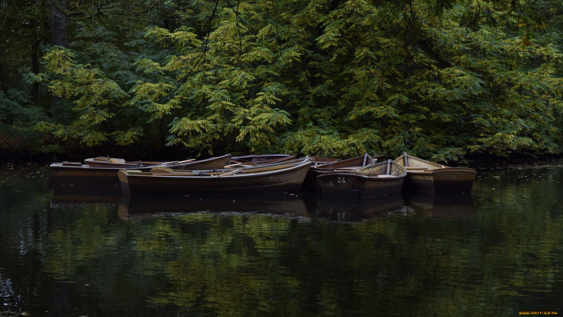 корабли, лодки, , шлюпки, река, деревья