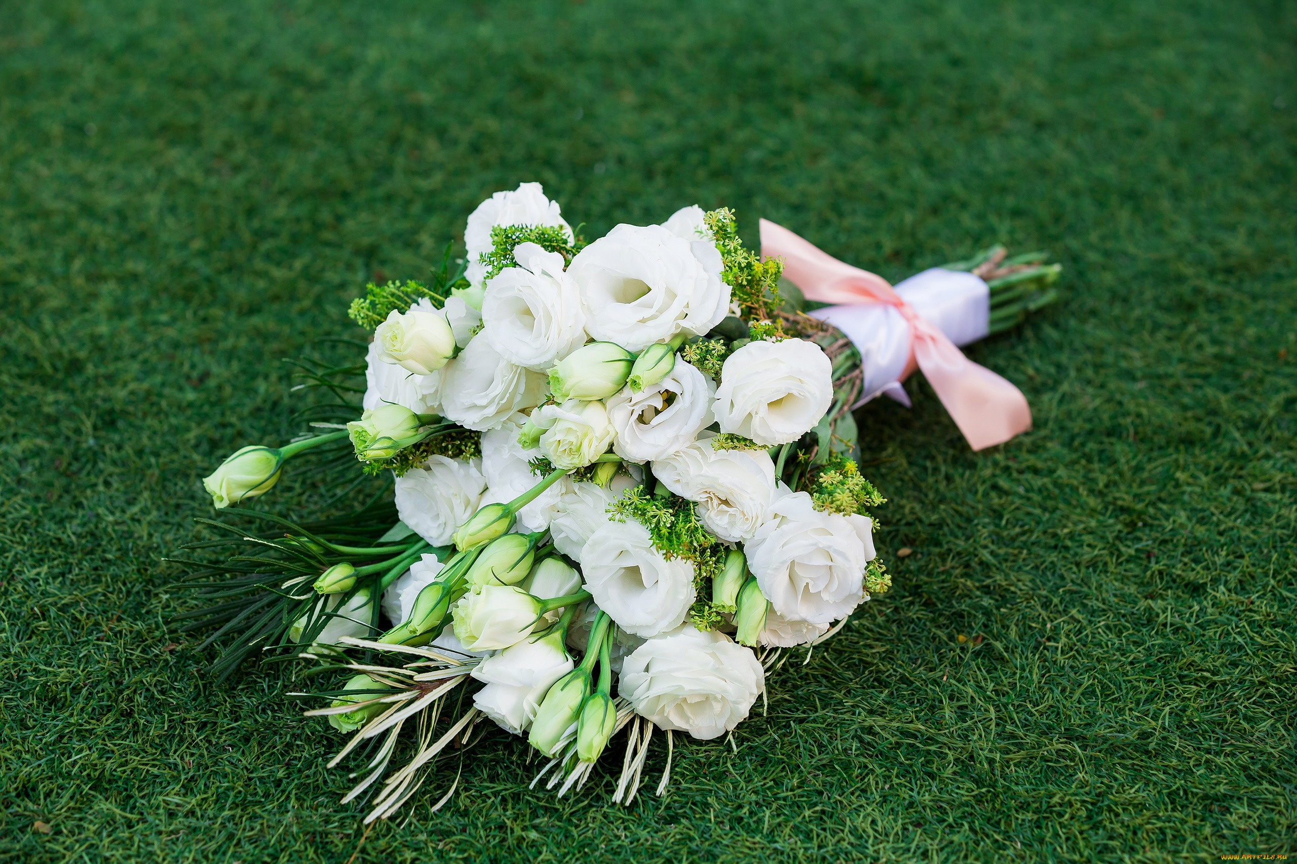 цветы, букеты, , композиции, белые, розы, эустома