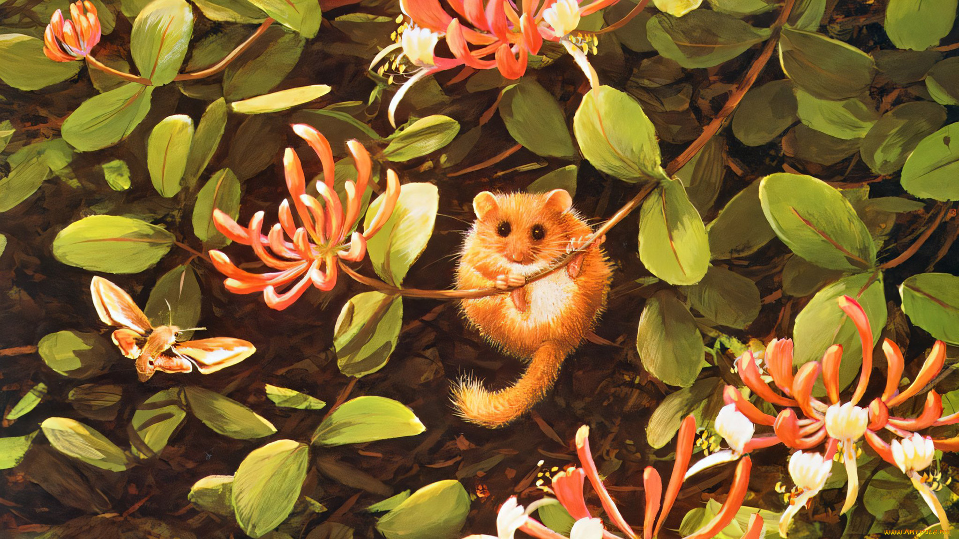 295784, рисованное, животные, , лемуры, лемур