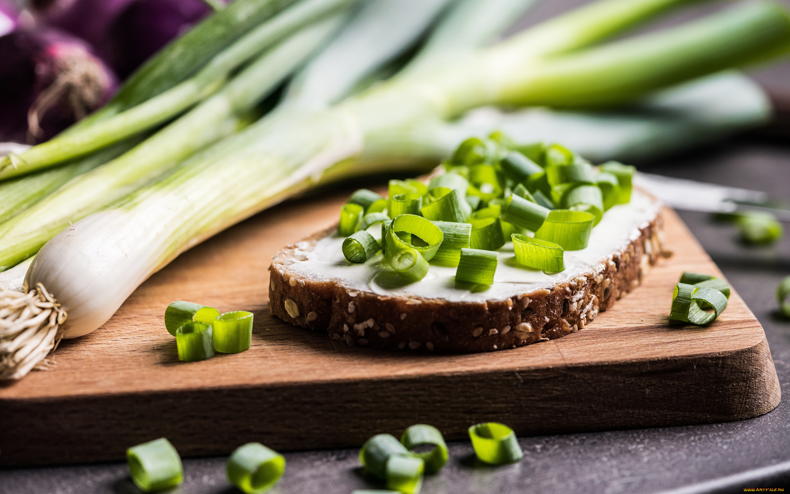 еда, бутерброды, , гамбургеры, , канапе, зеленый, лук, бутерброд, хлеб