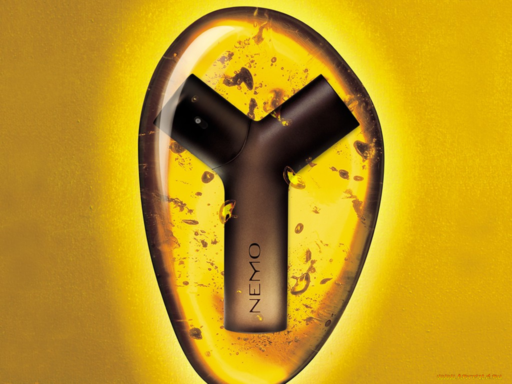 cacharelnemo, бренды