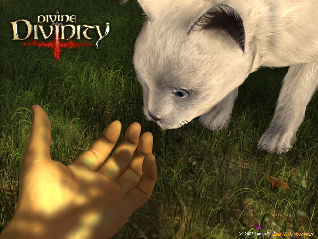 divine, divinity, видео, игры