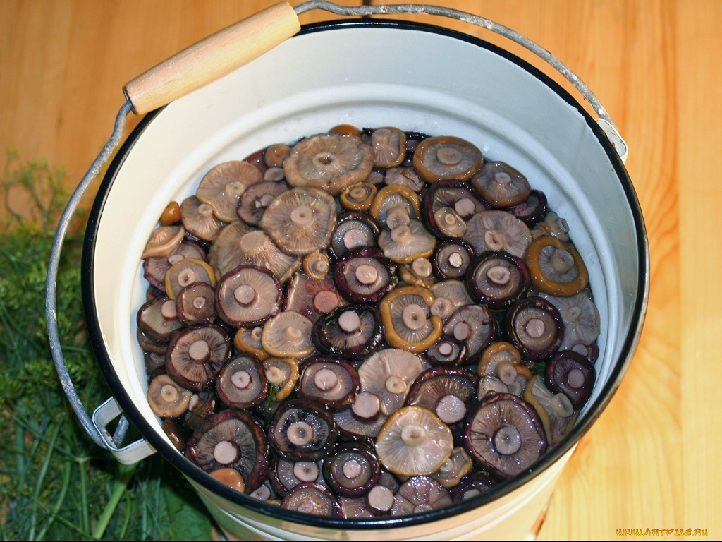 еда, грибы, грибные, блюда